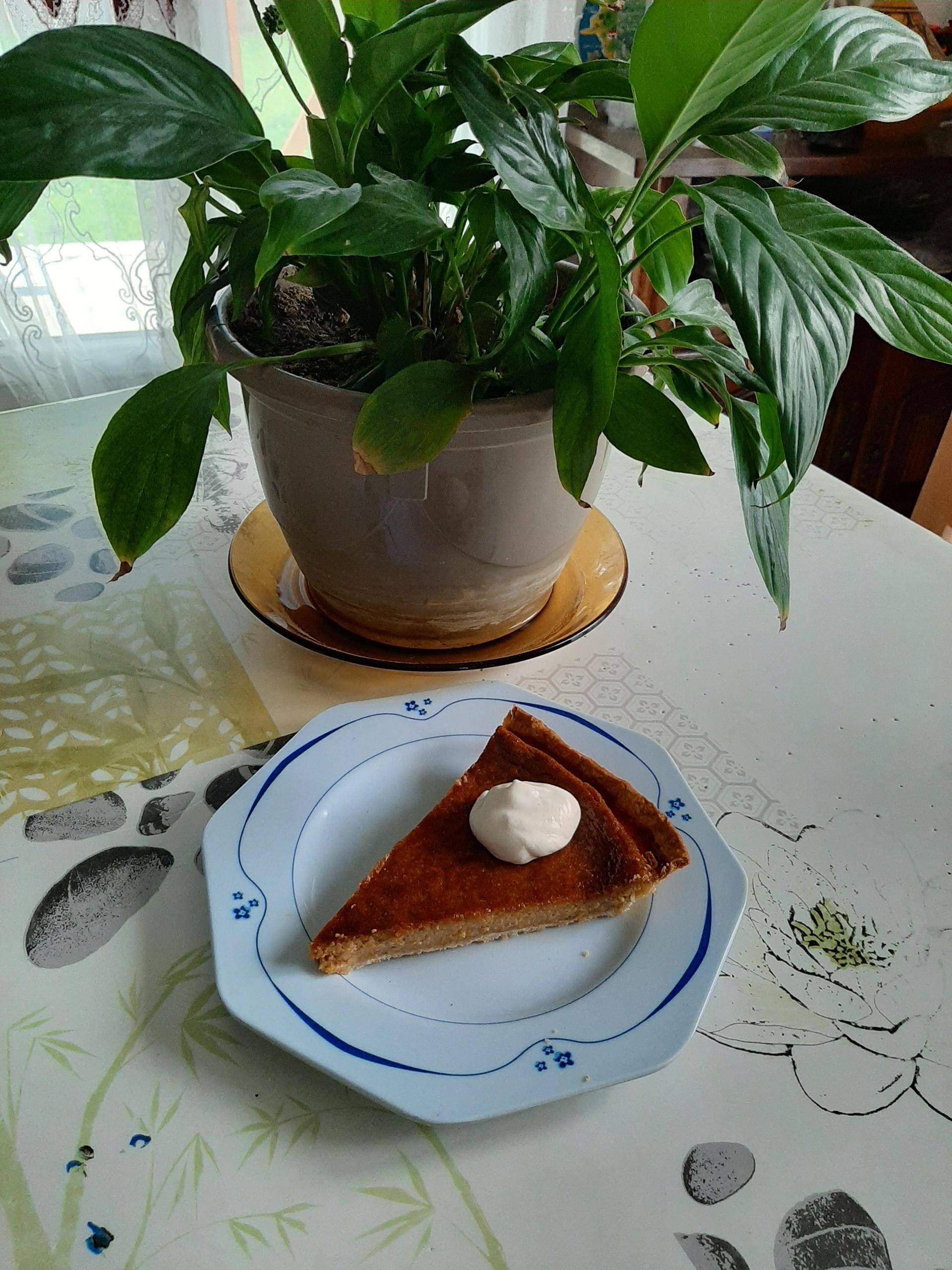 Pumpik pie ( tarte a la citrouille ) - Recepten Companion XL | Moulinex