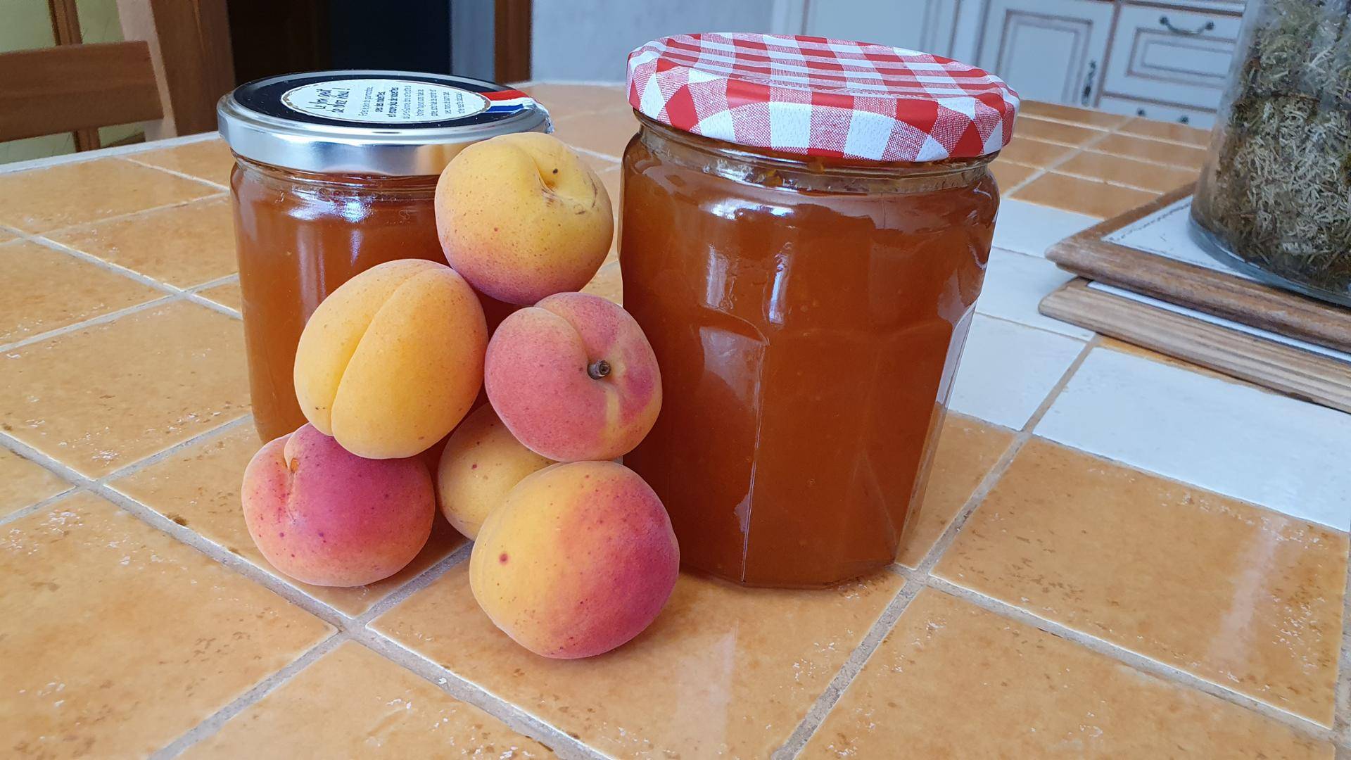 Confiture d'abricot - Recepten Companion Connect XL | Moulinex