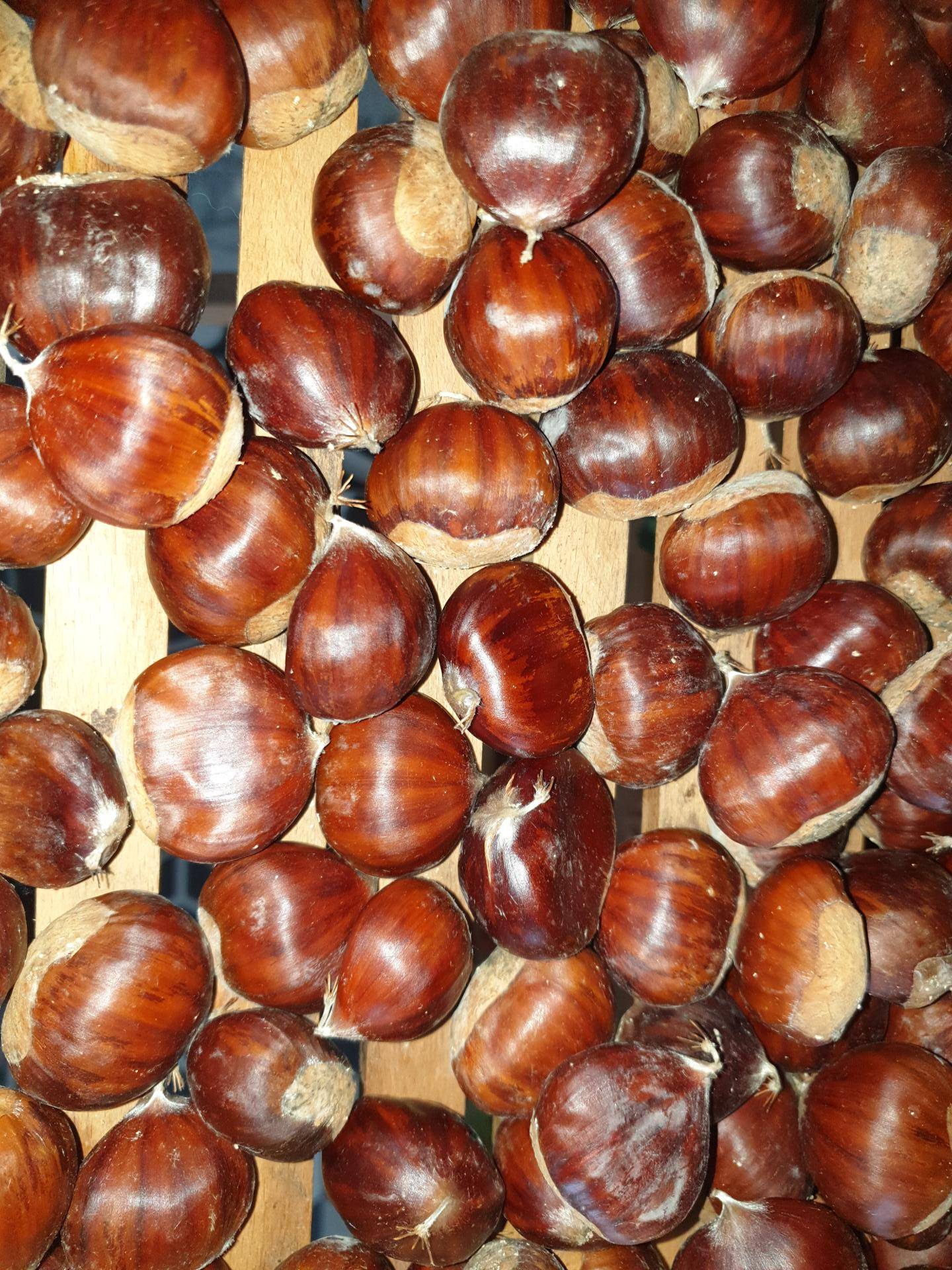 Chataignes grillées - Recette Easy Fry XL Surface | Moulinex