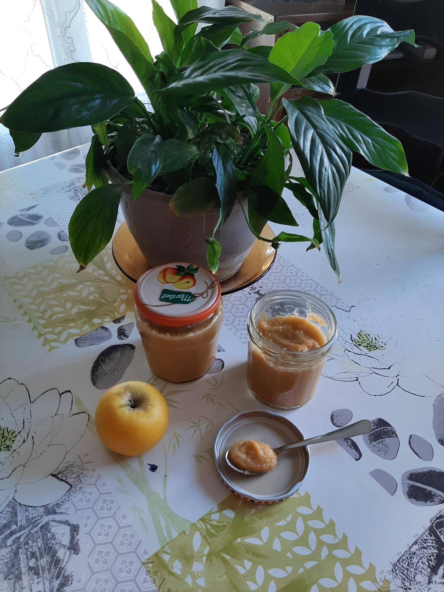 Beurre de pommes - Recepten Companion XL | Moulinex