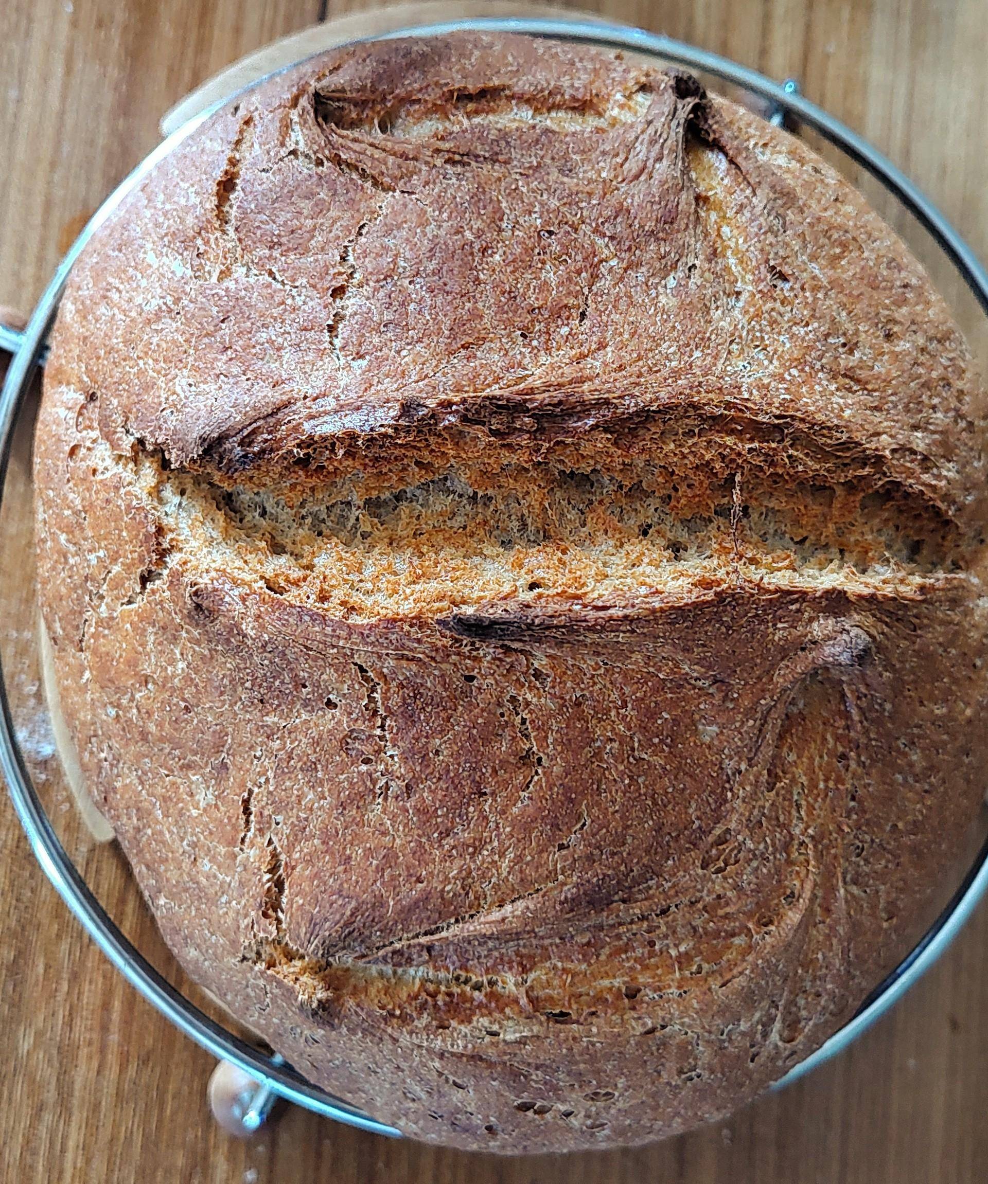 Pain semi-complet - Recette Companion Connect XL | Moulinex