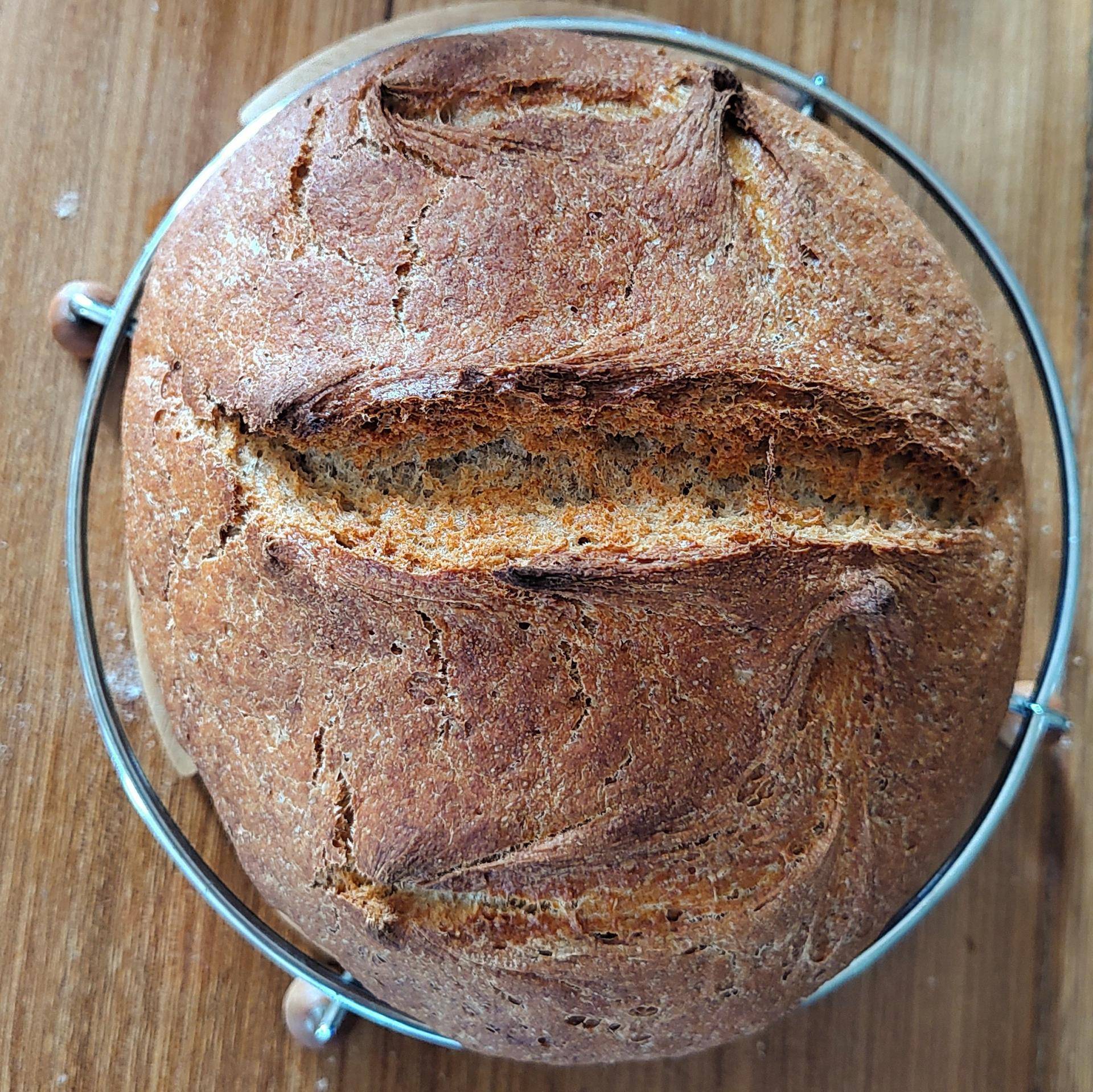 Pain semi-complet - Recette Companion Connect XL | Moulinex