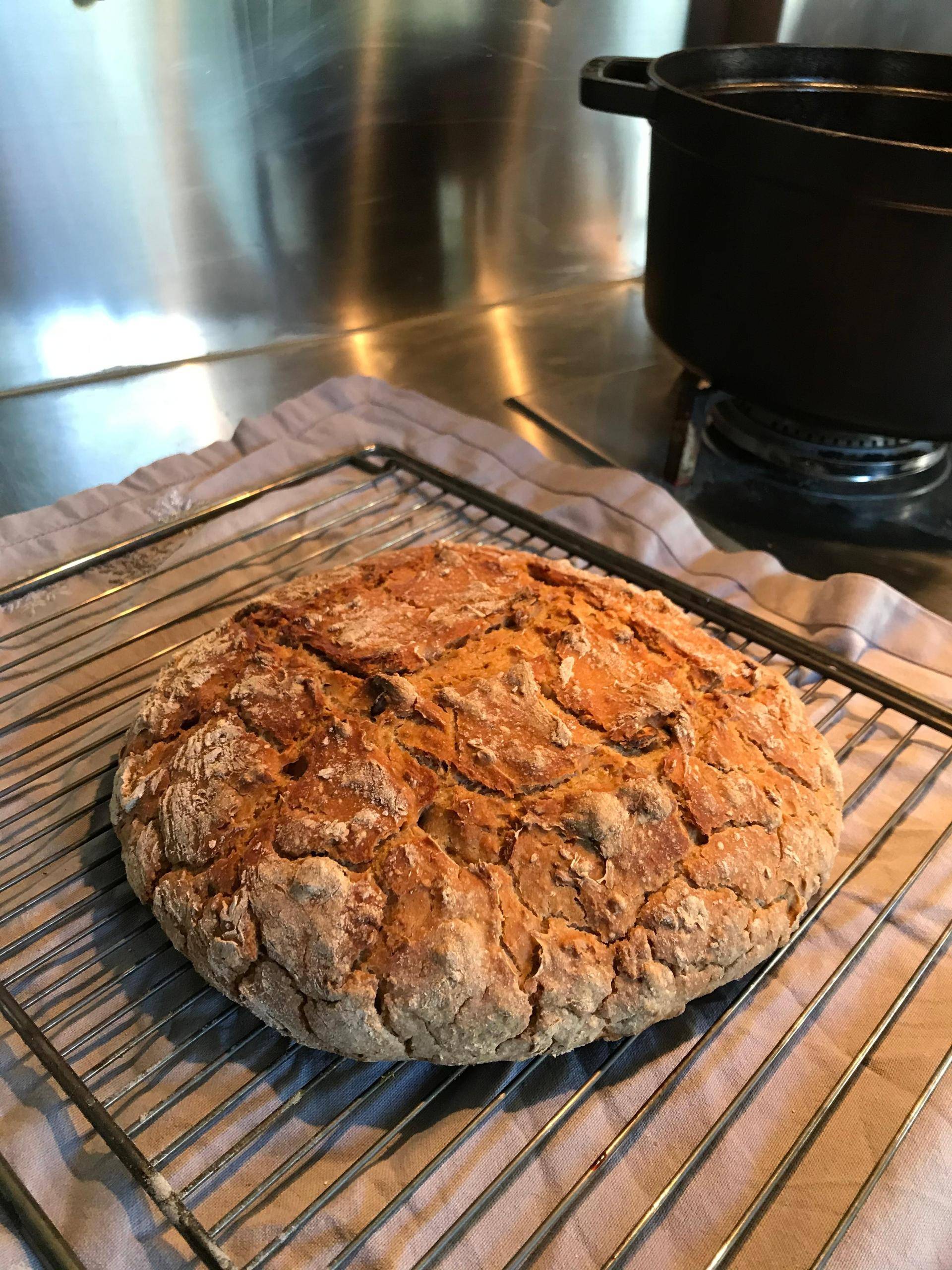 Pain en cocotte au levain maison - Recepten Companion Connect XL | Moulinex