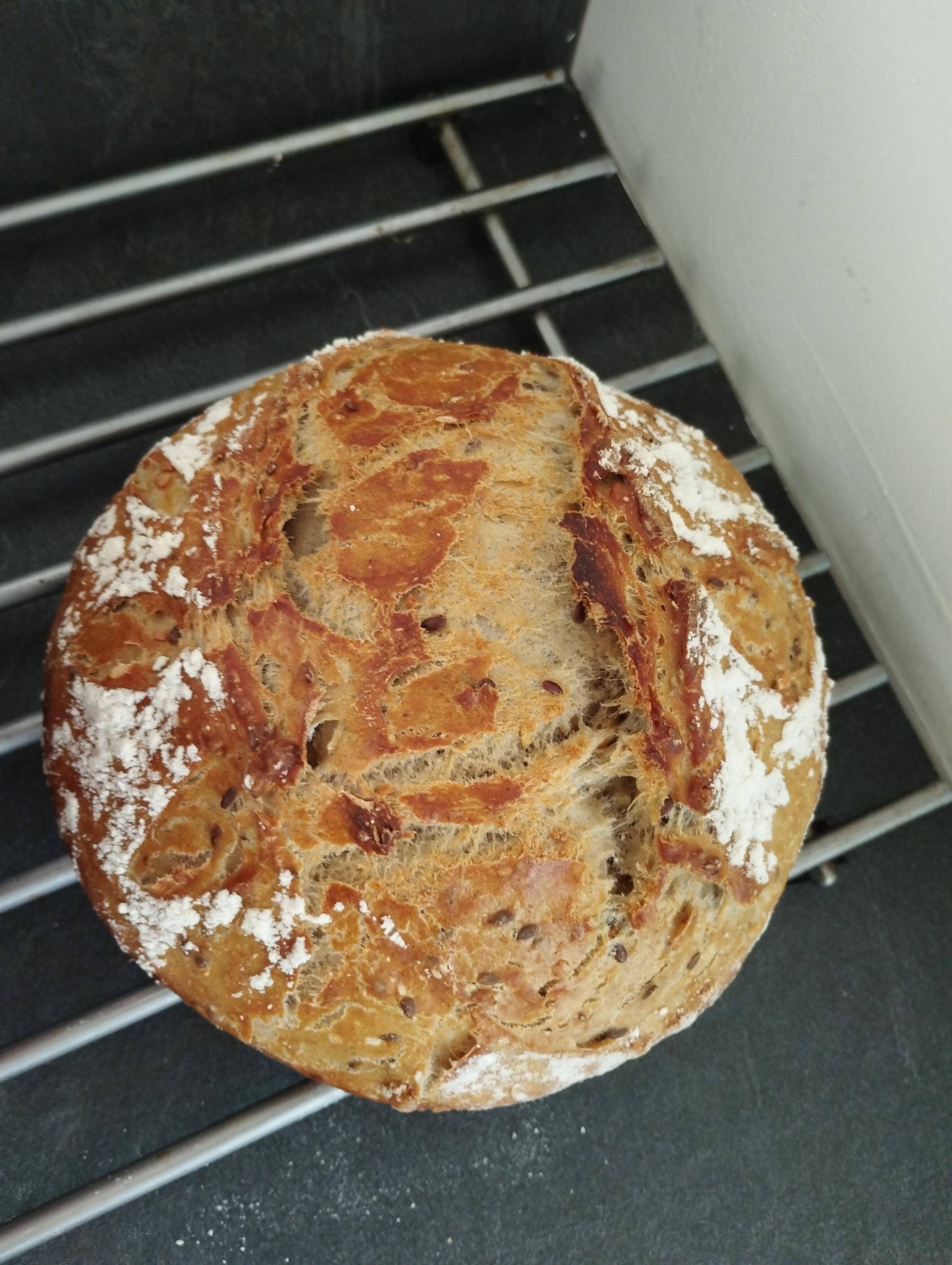 Pain de campagne aux graines - Recepten Companion Connect XL | Moulinex