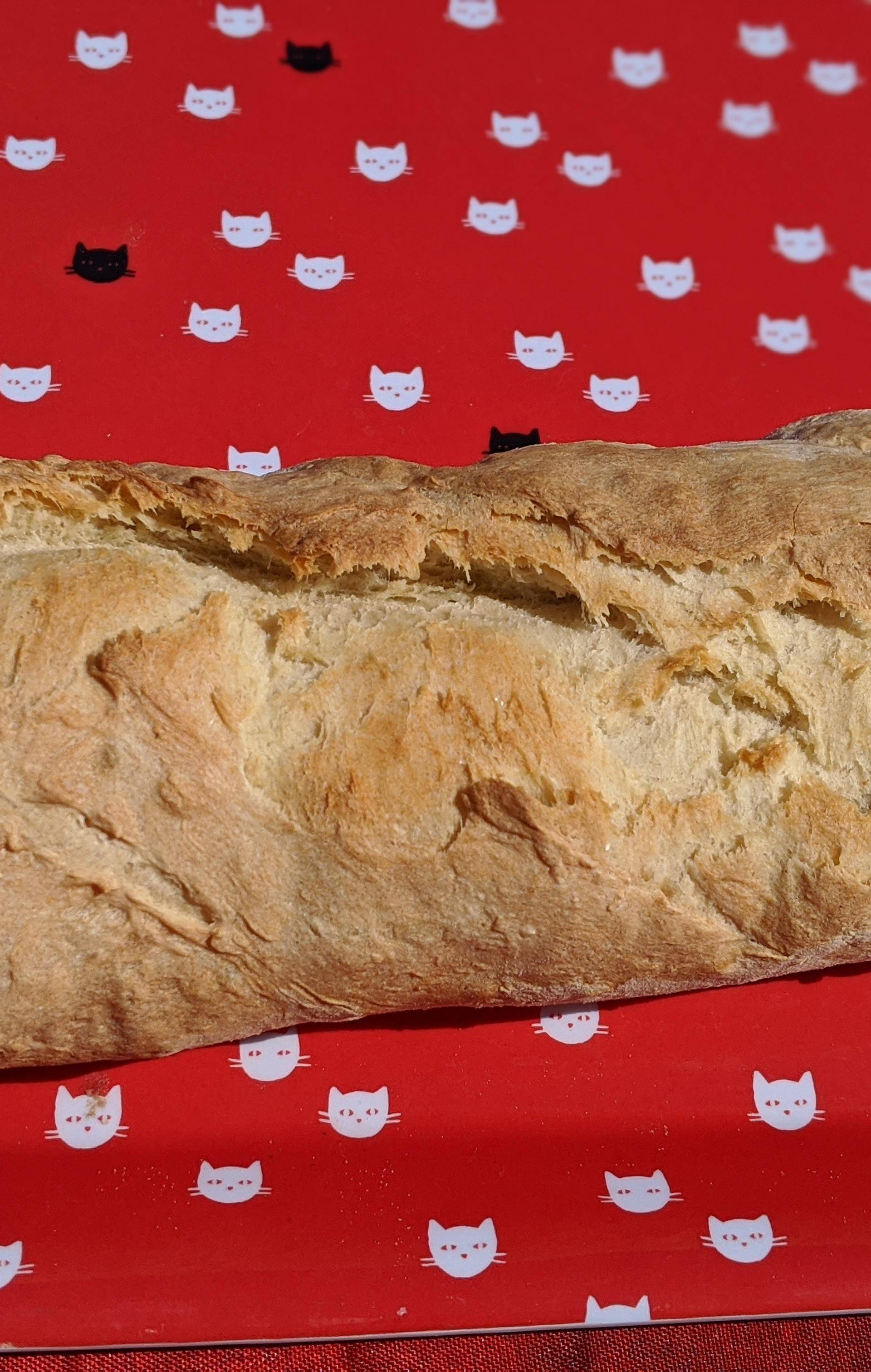 Pain blanc style baguette - Recette Companion XL | Moulinex