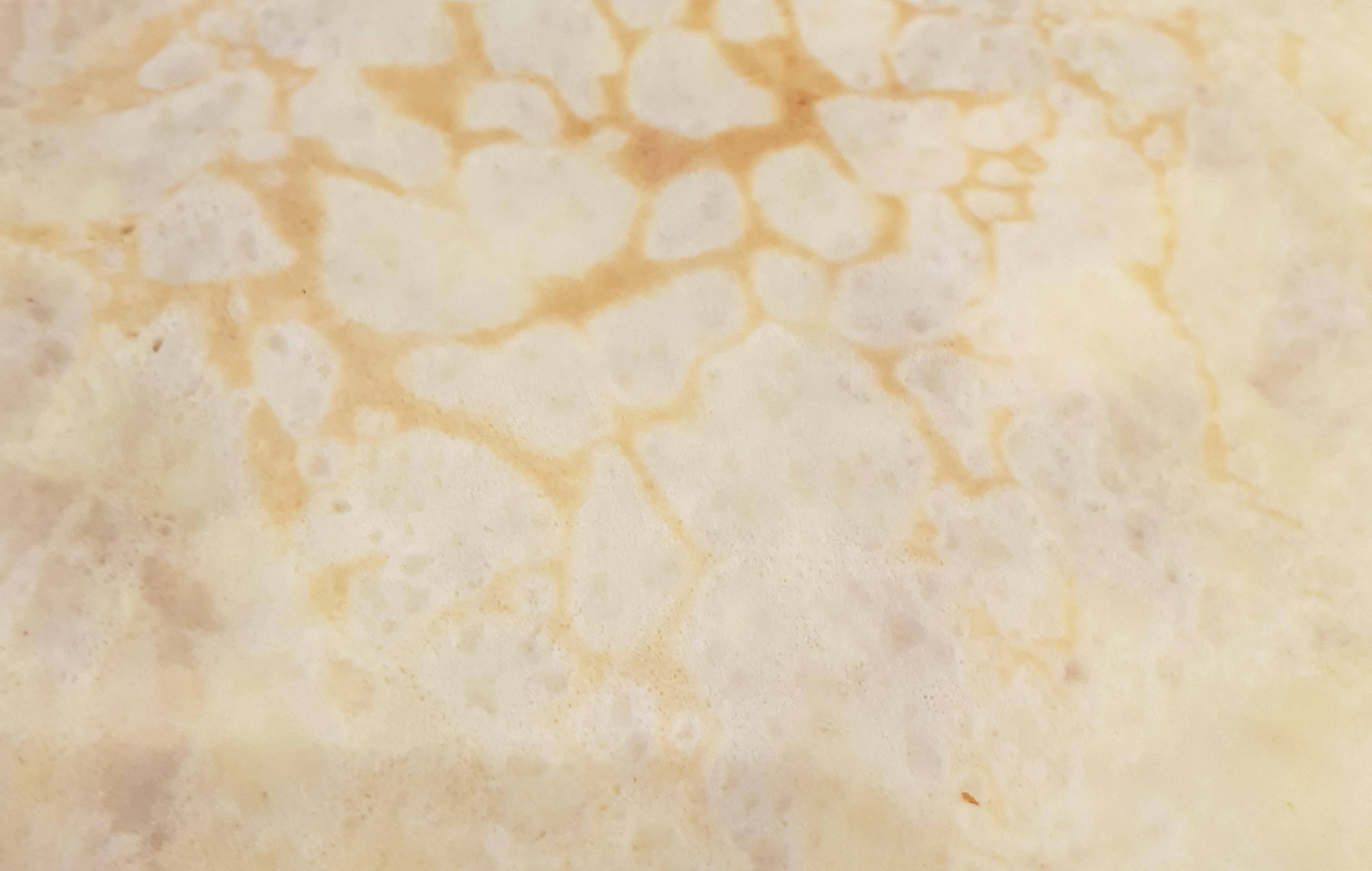 Crepes - Recette Companion Connect XL | Moulinex