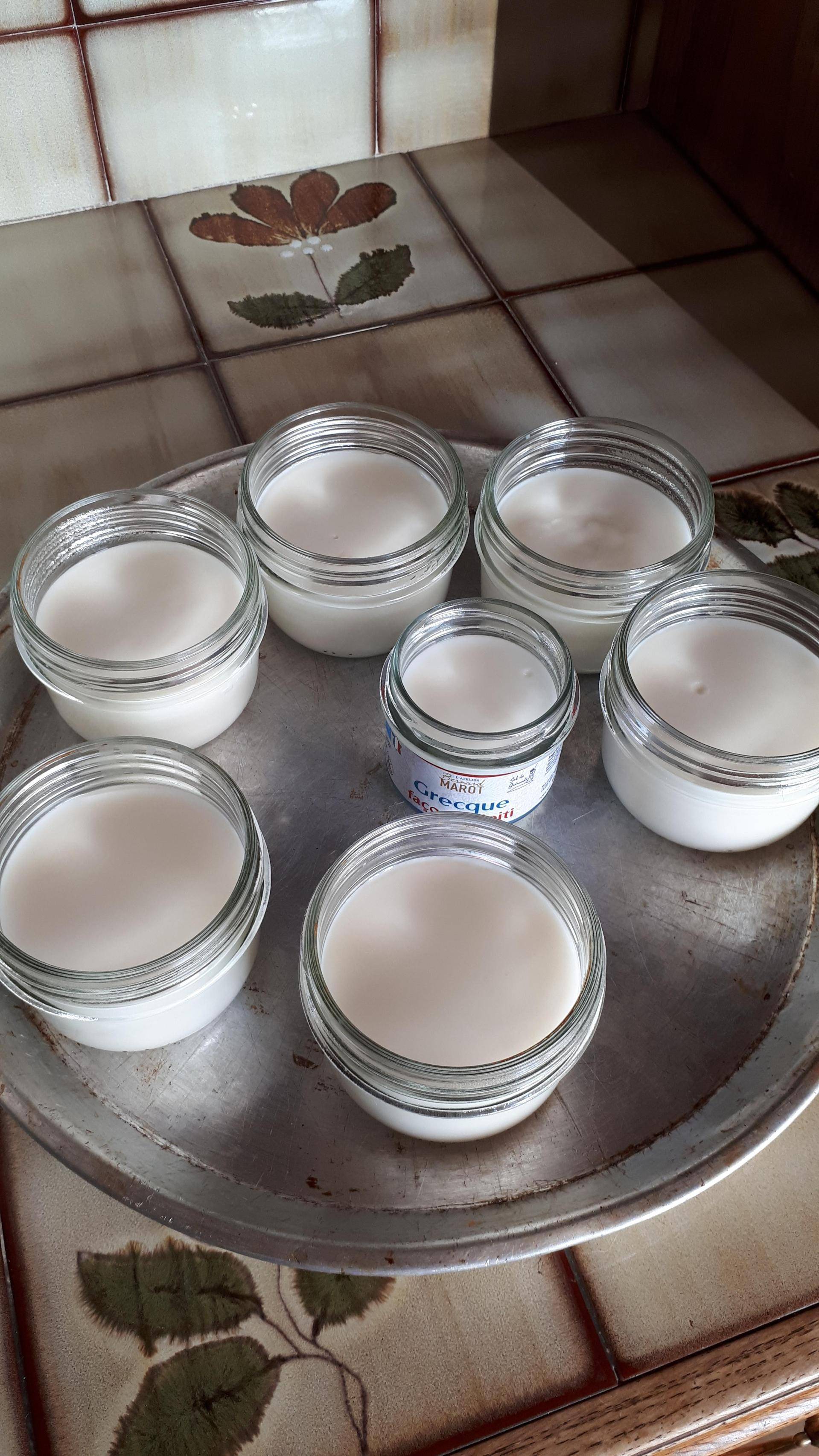 Crème dessert coco sans oeuf - Recepten Companion | Moulinex