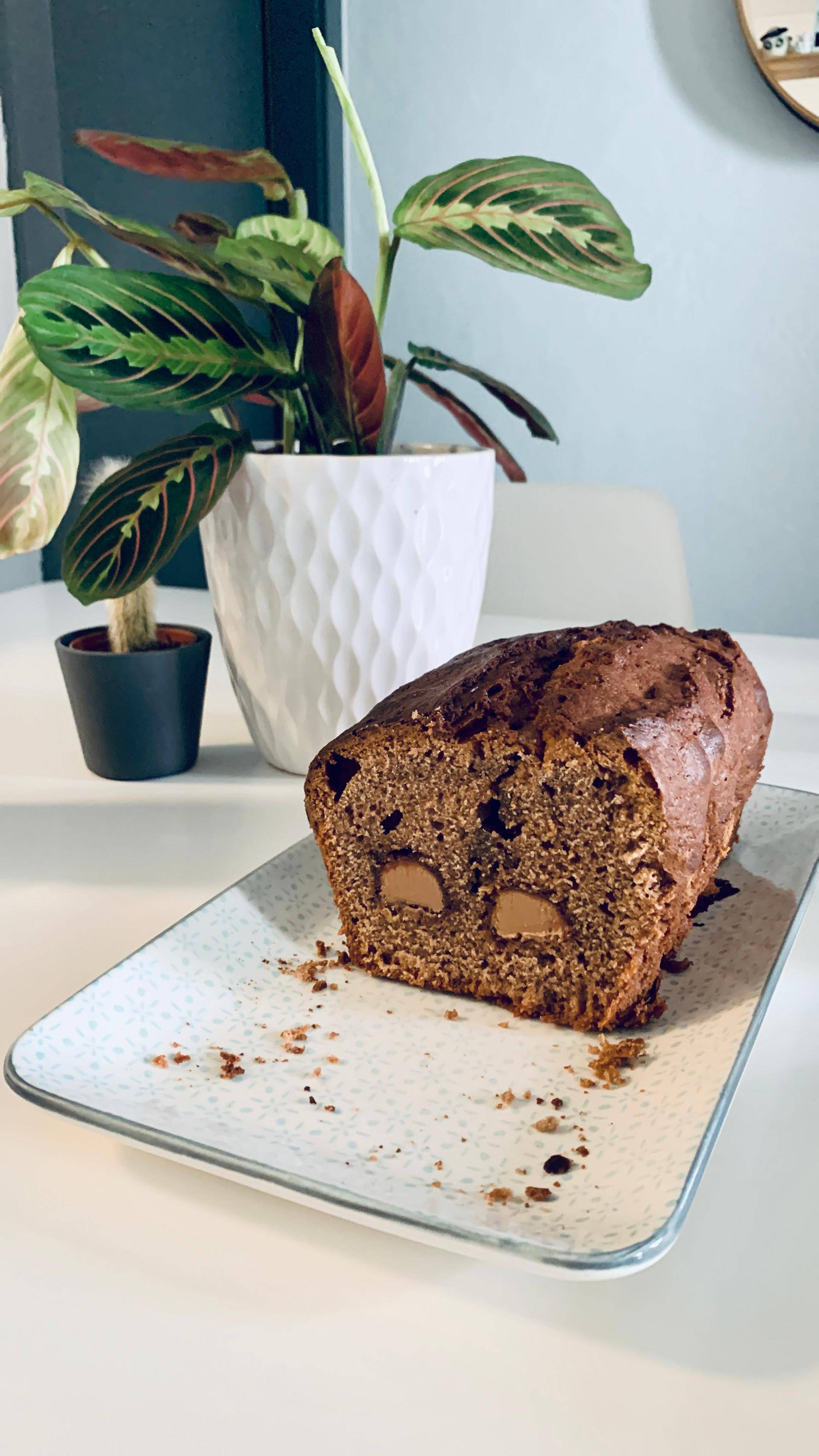 Cake mississippi - Recette Companion Connect XL | Moulinex