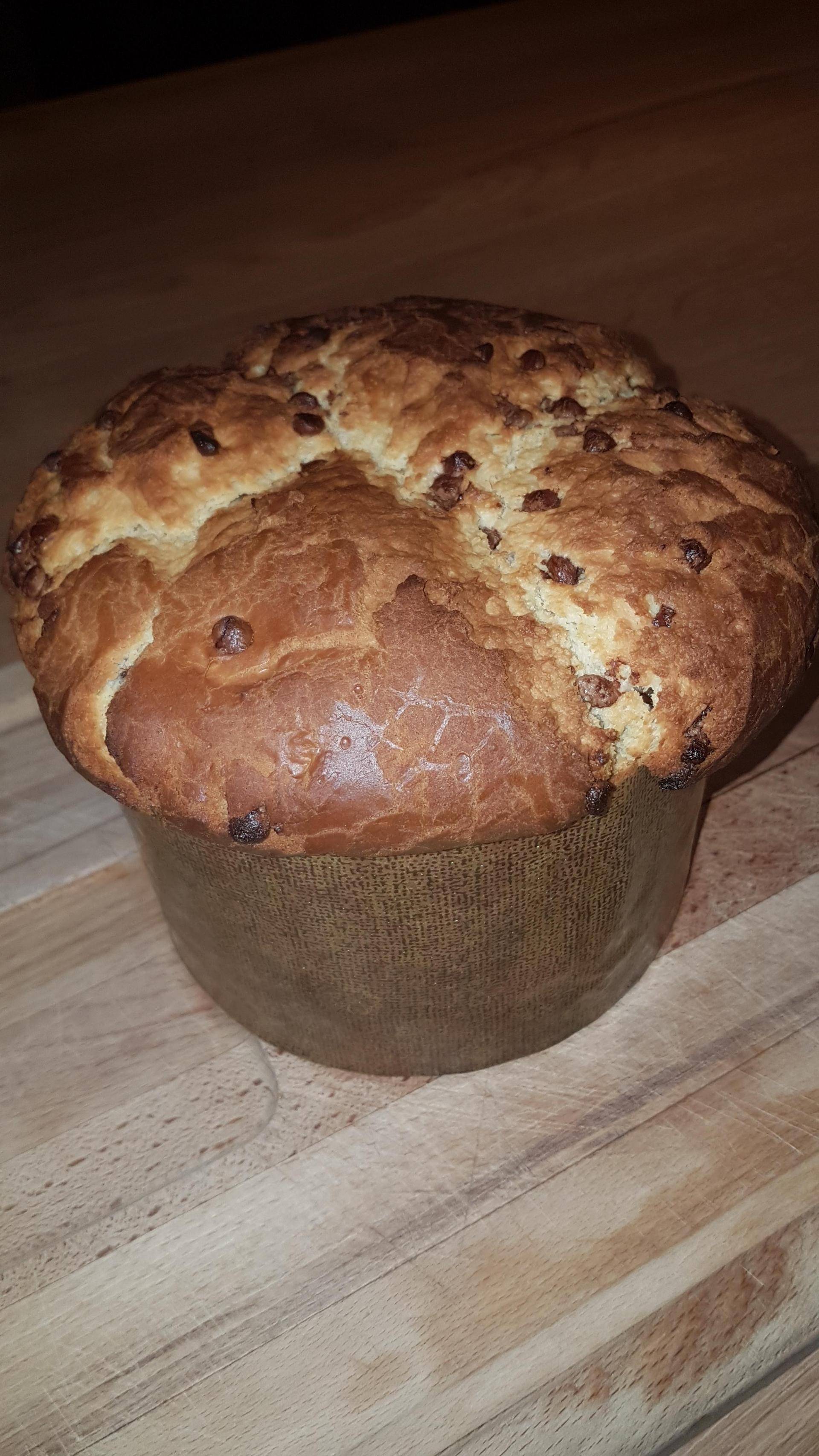 Panetonne - Recette Companion Connect | Moulinex