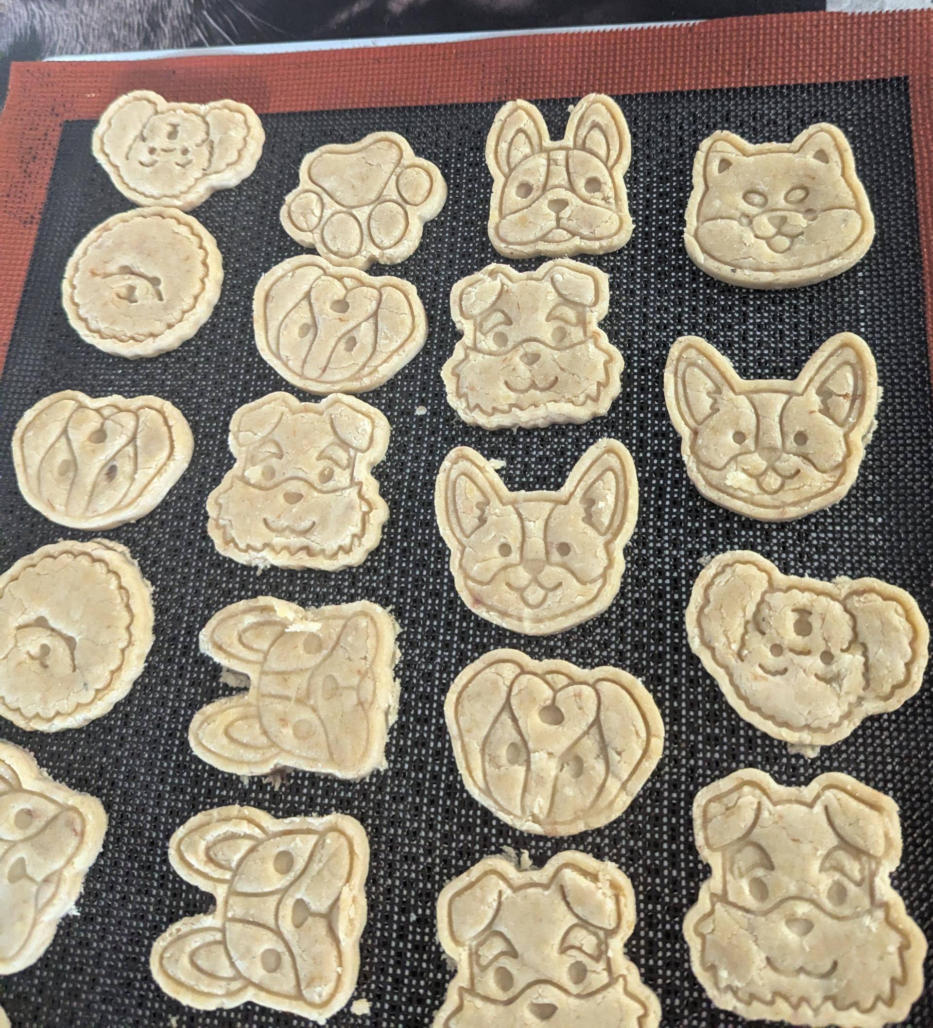 Biscuits pour chien - Recette Companion Connect XL | Moulinex