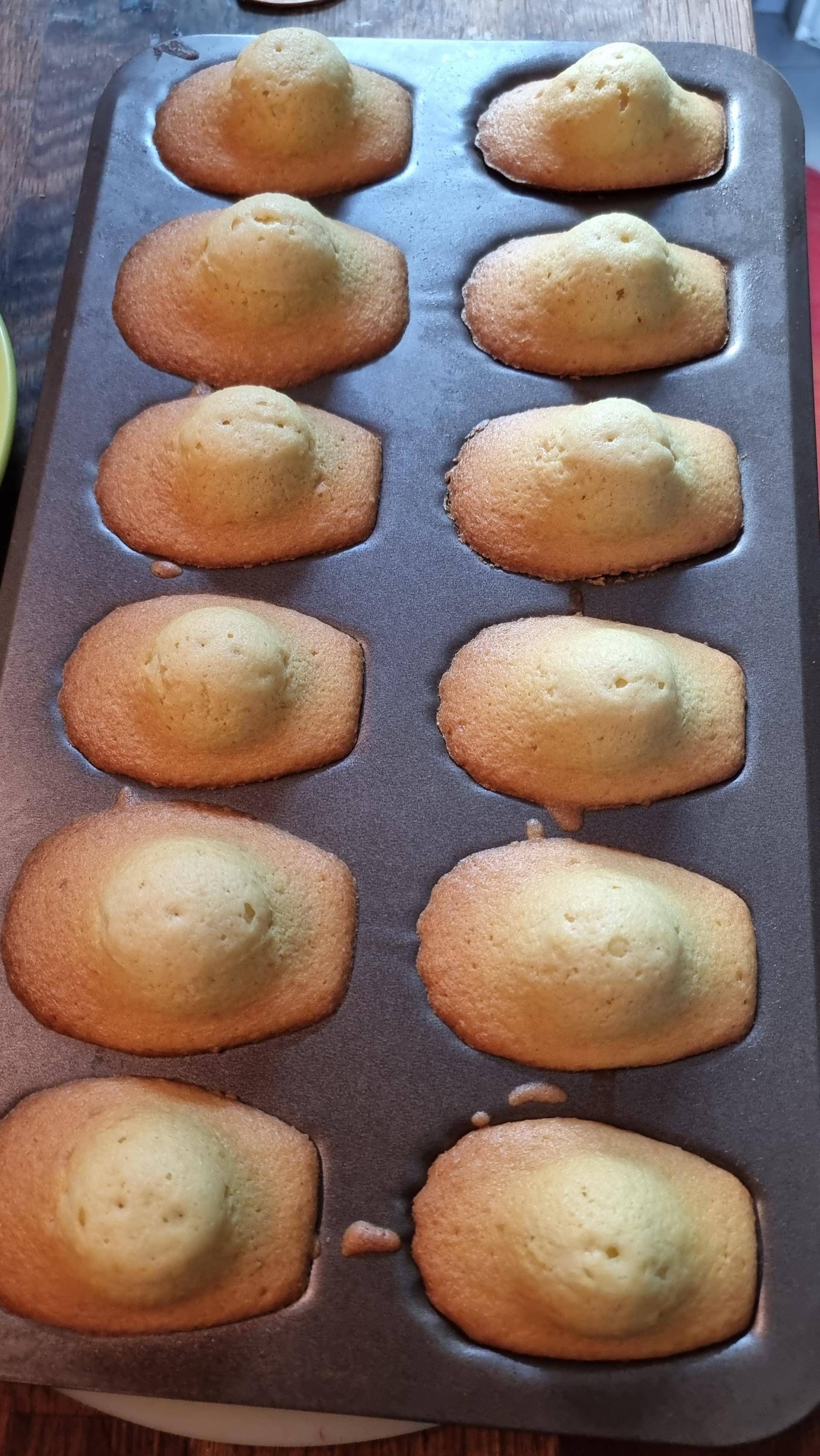 Madeleines de Alexis - Recette Companion Connect | Moulinex