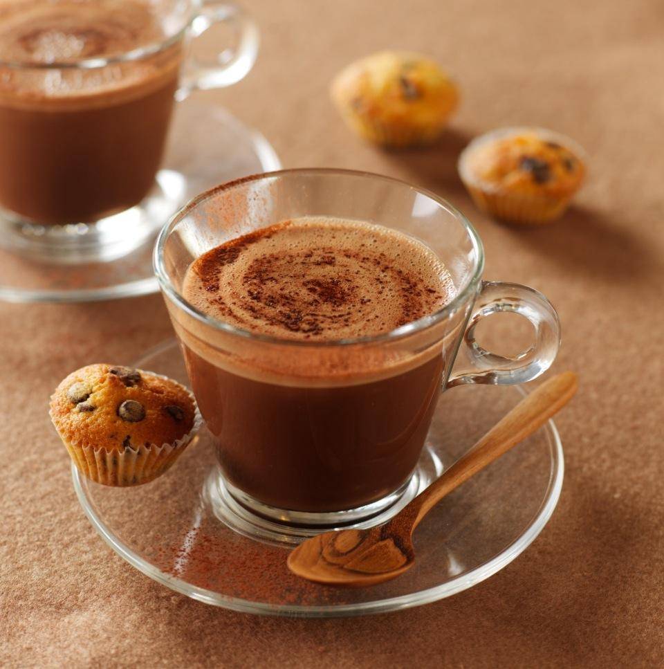 Warme chocolademelk - Recepten Companion | Moulinex