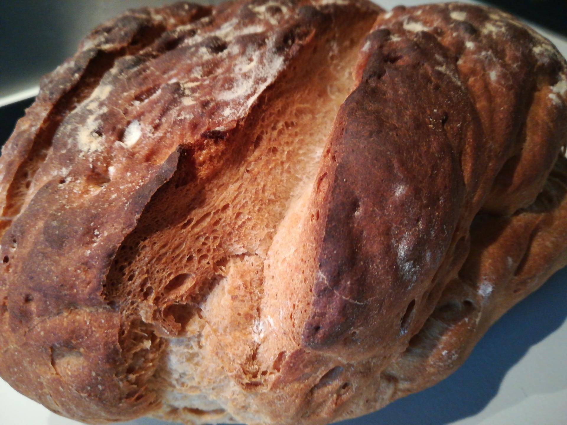 Pain complet croustillant - Recepten Companion XL | Moulinex