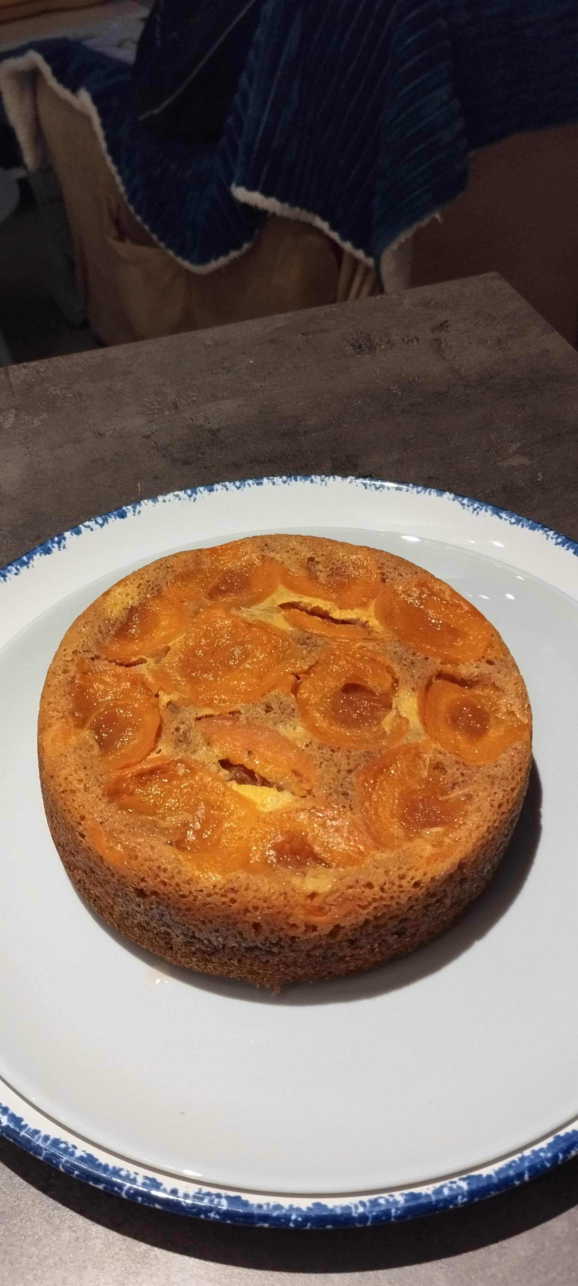 Gâteau moelleux aux abricots. - Recette Cookeo | Moulinex