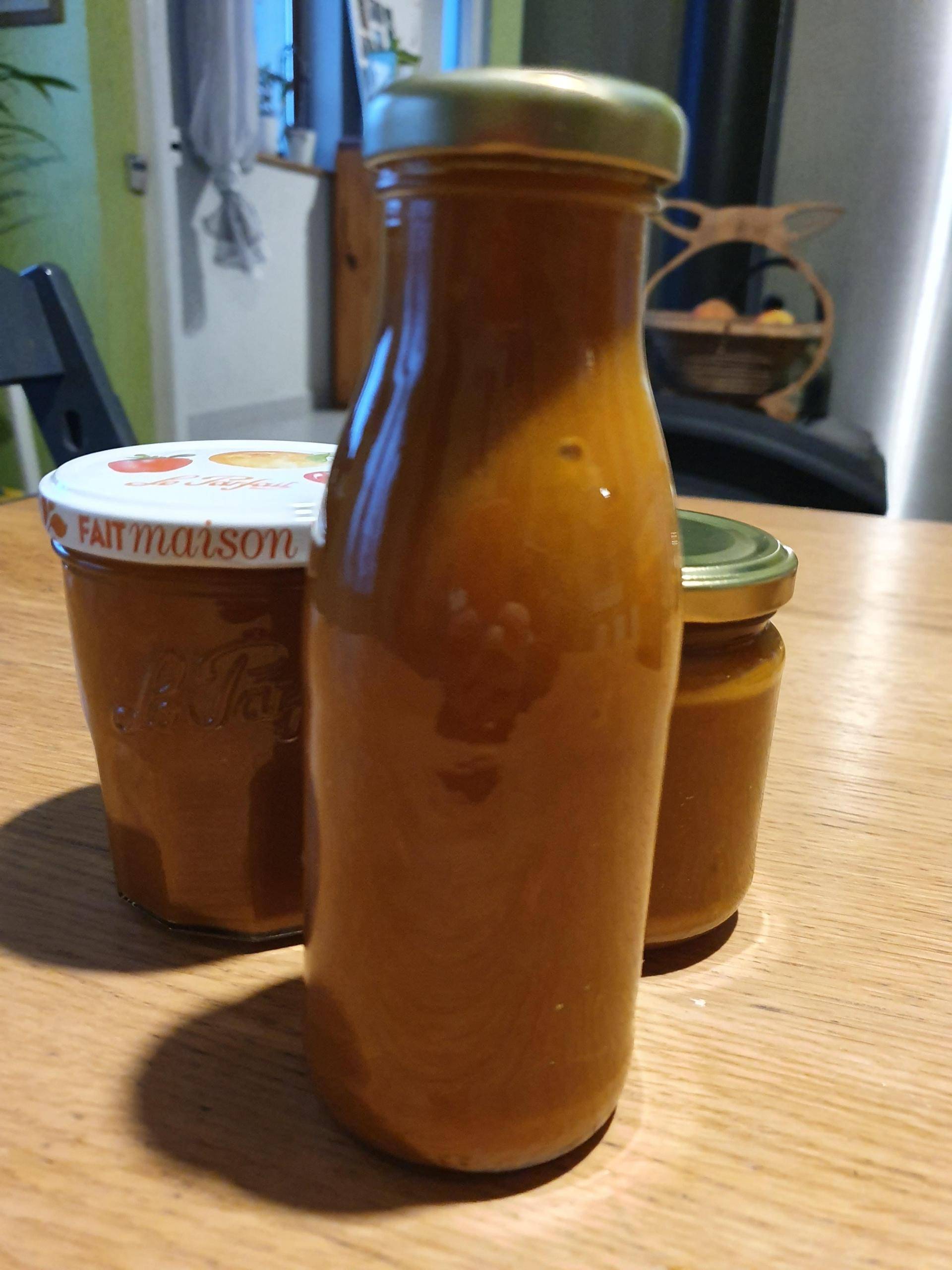 Ketchup rapide et facile - Recepten Companion Connect XL | Moulinex