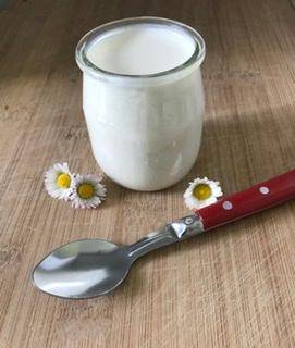 Yaourt Maison Nature - Recepten Companion Connect XL | Moulinex