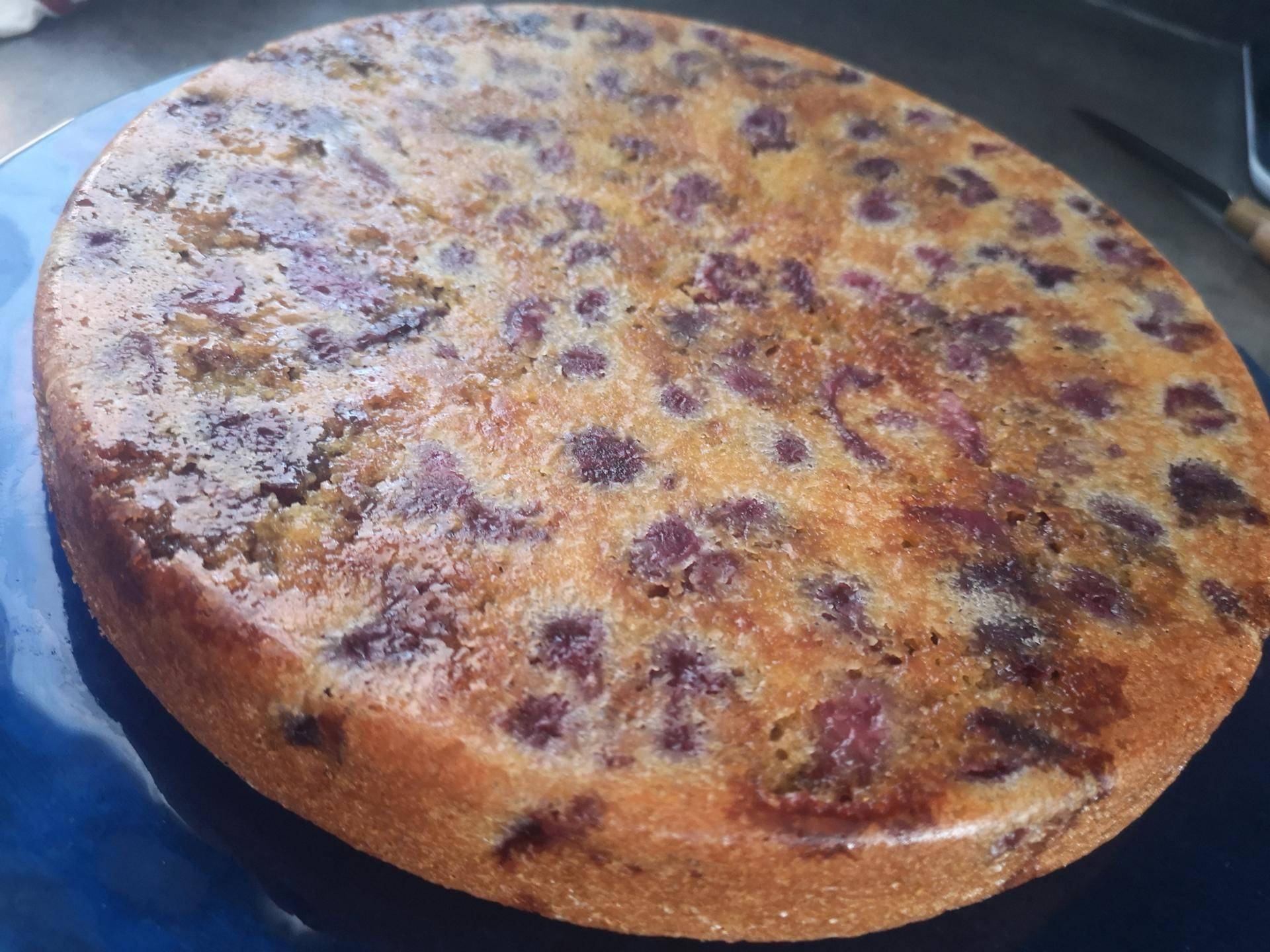 Clafouti aux cerises selon Cyril lignac - Recepten Companion XL | Moulinex