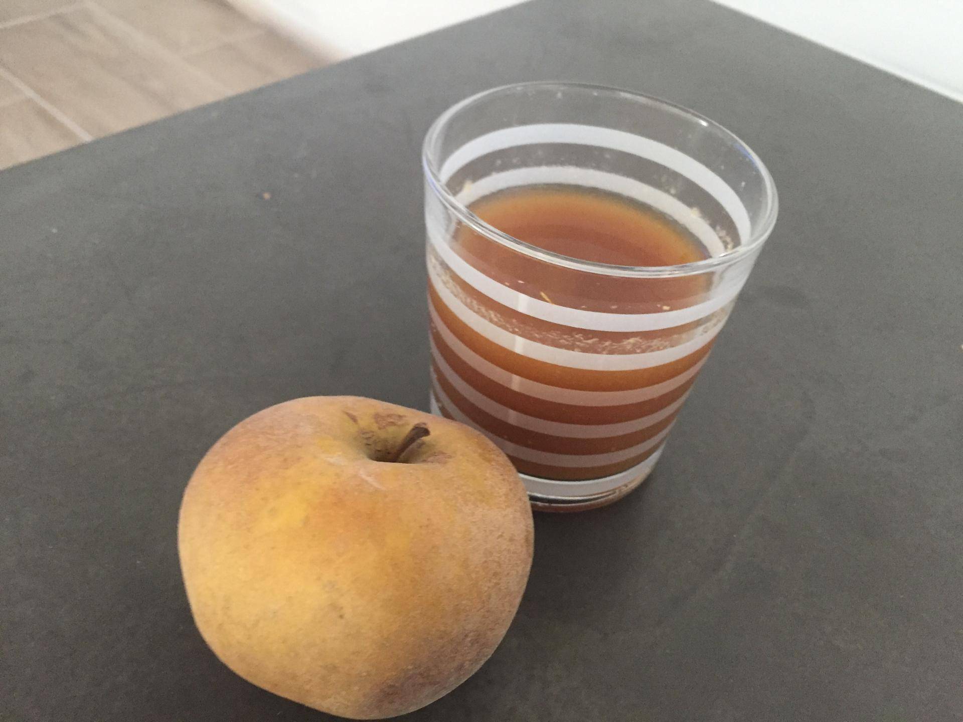 Jus de pomme - Recepten Companion Connect XL | Moulinex