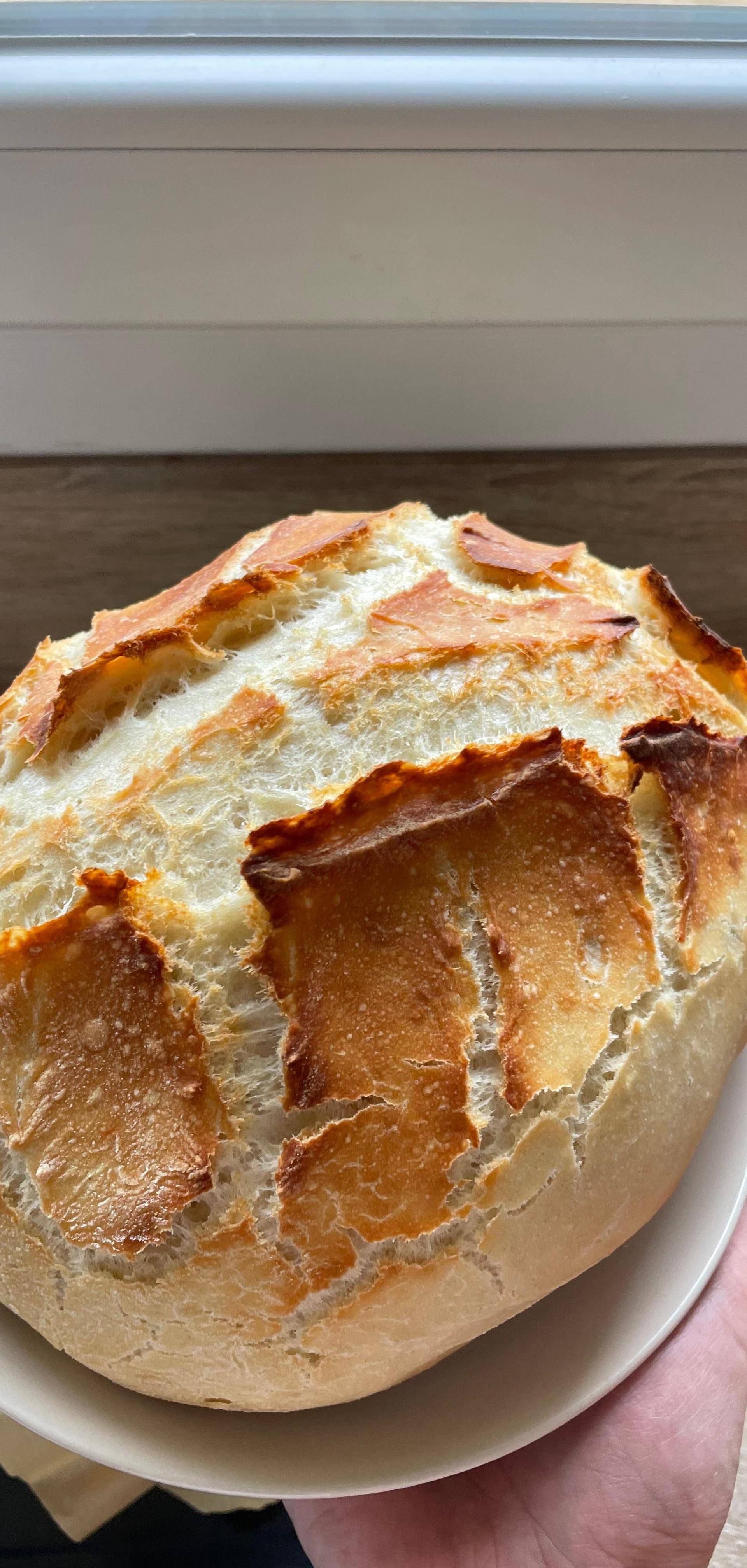 Pain cocotte Ancelme - Recette Companion Connect XL | Moulinex