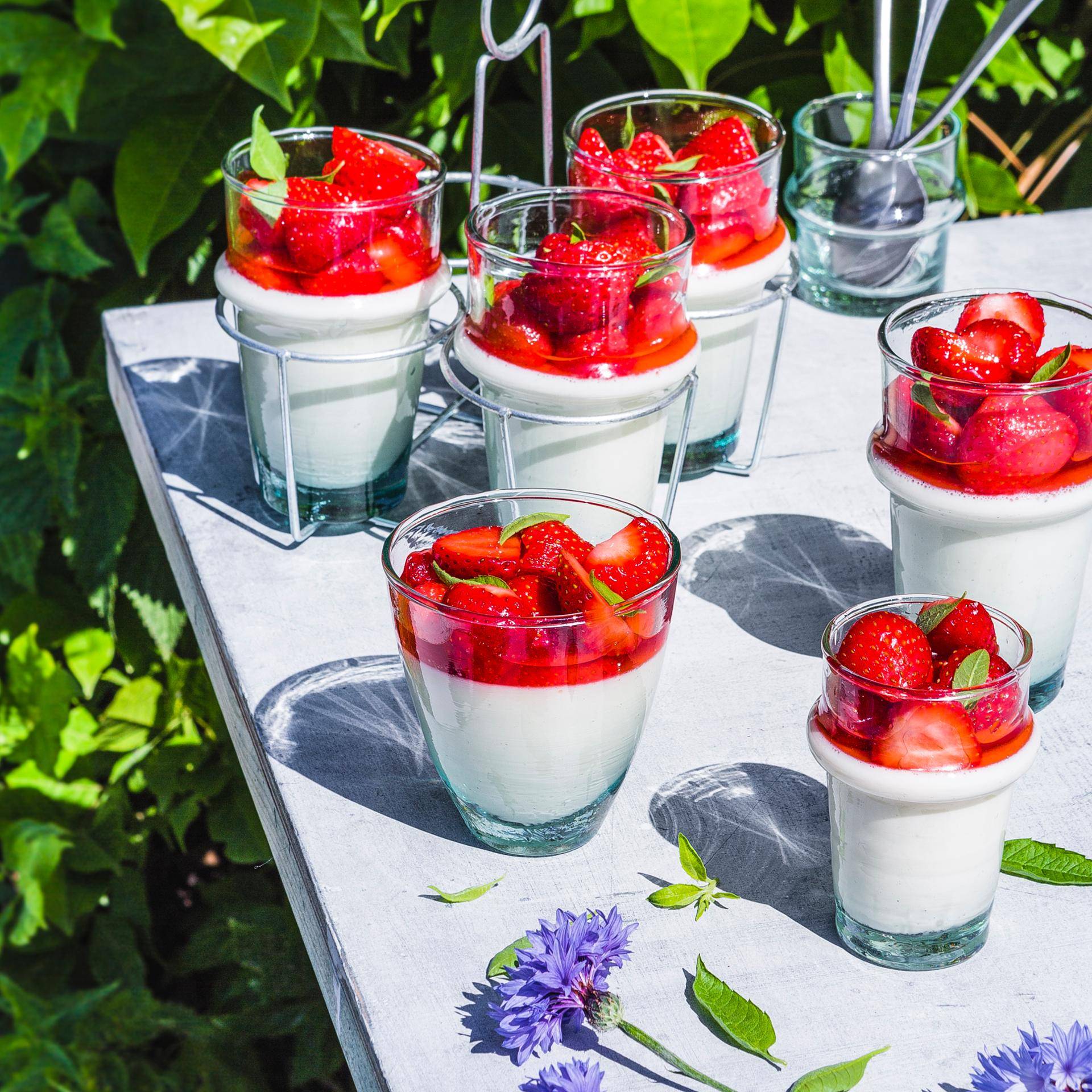 Panna cotta fraise et verveine - Recette Companion | Moulinex