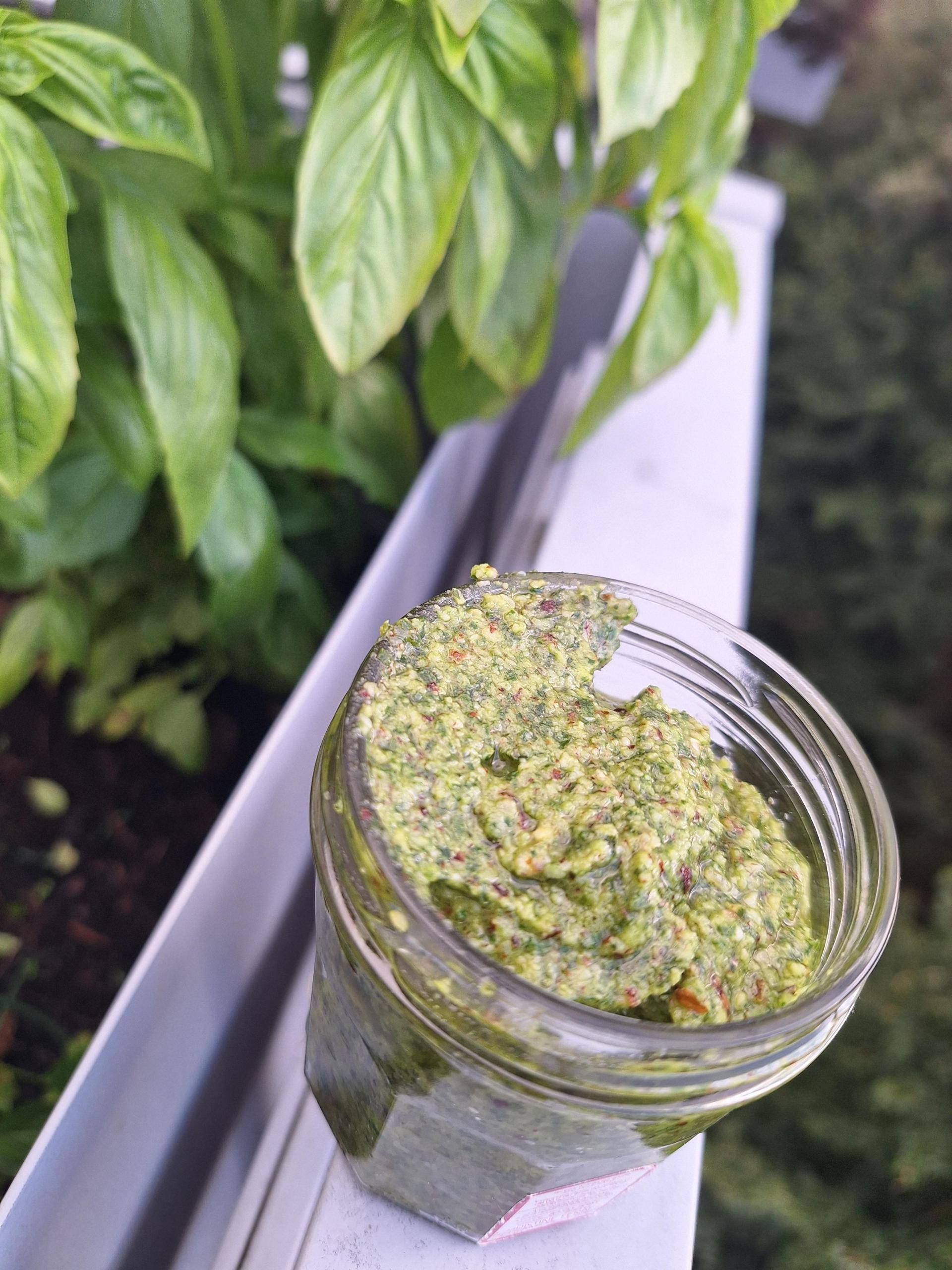 Pesto basilic noisette - Recette Companion Connect XL | Moulinex