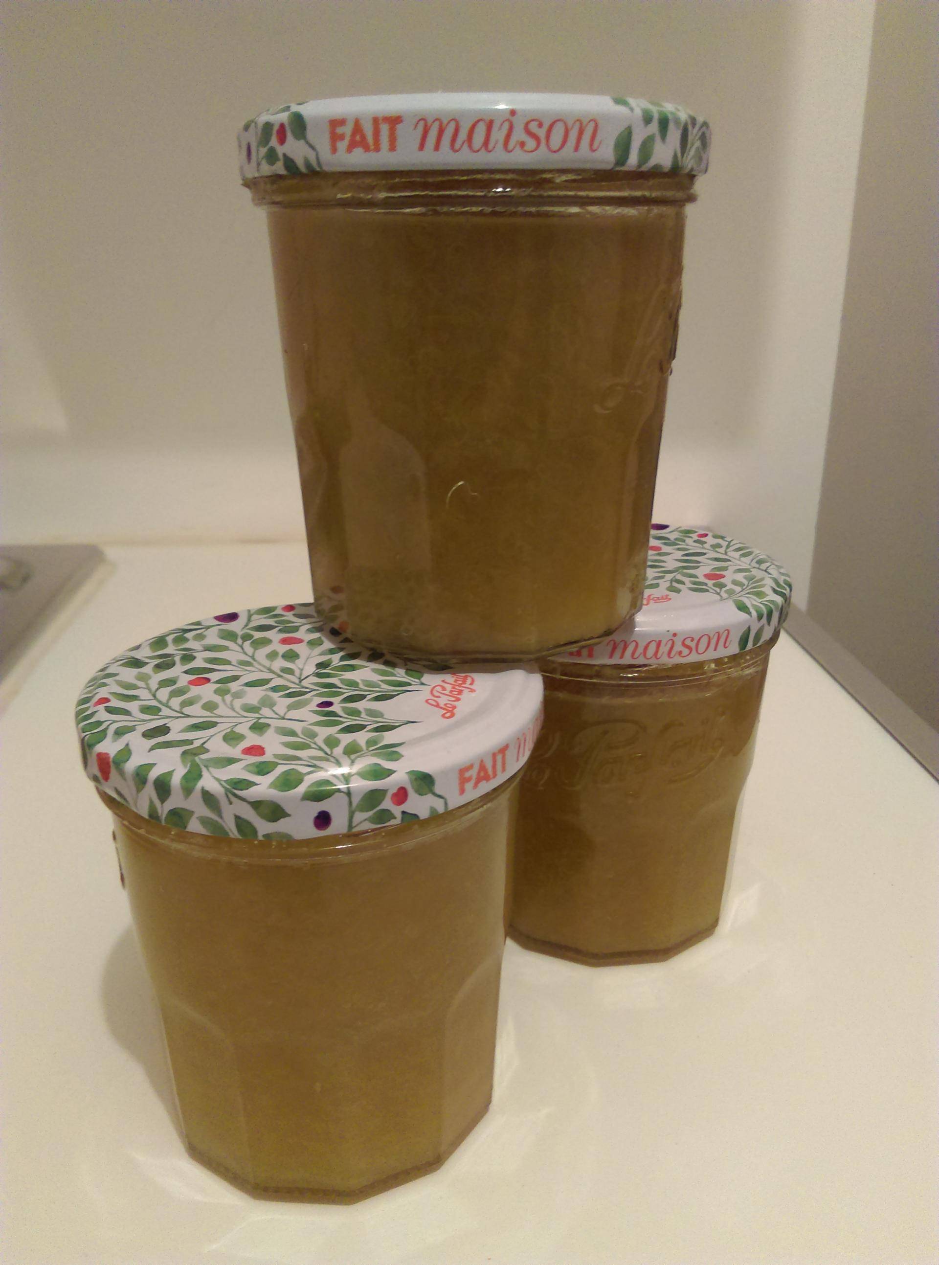 Confiture pomme rhubarbe - Recepten Companion Connect XL | Moulinex