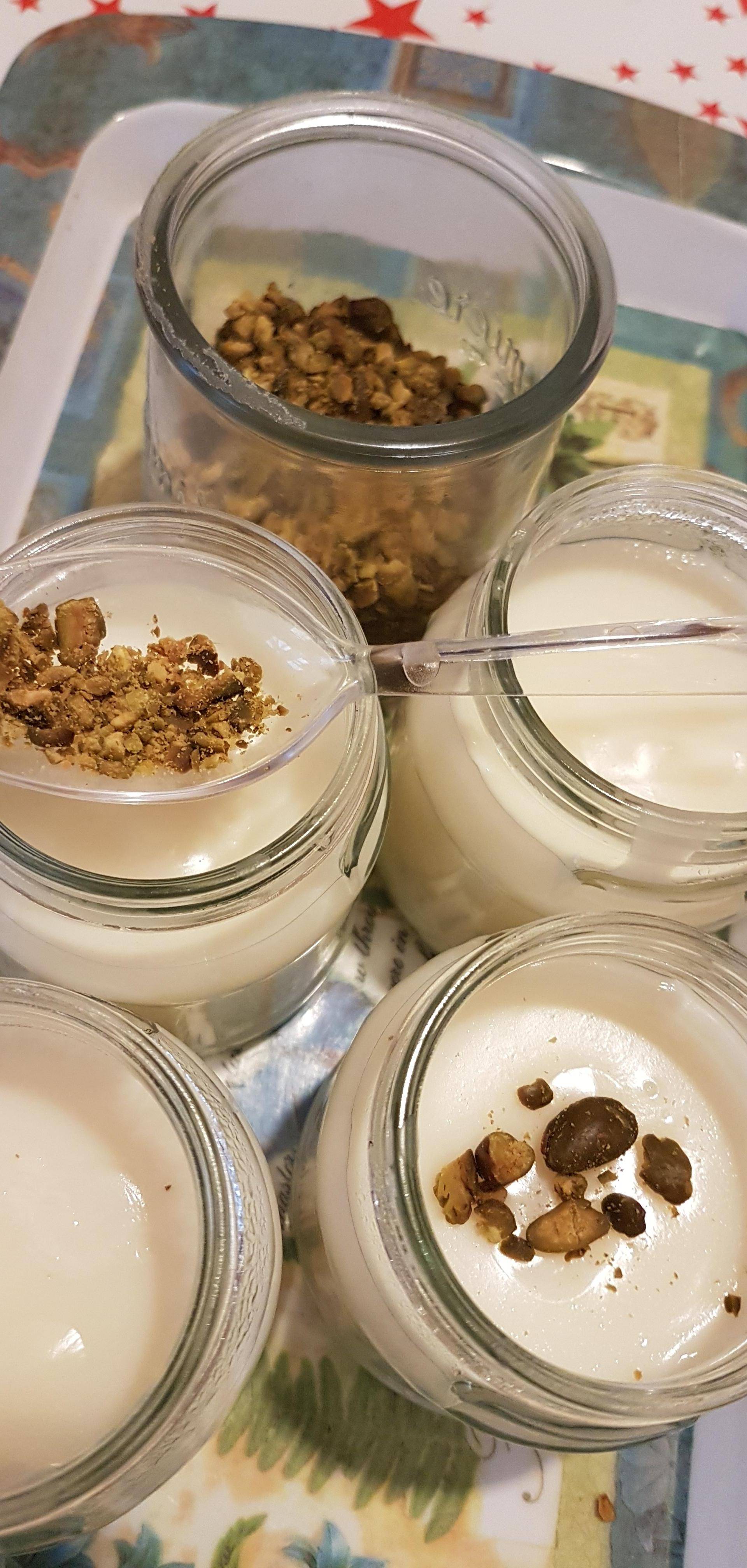Flan libanais mouhalabieh - Recette Companion Connect XL | Moulinex