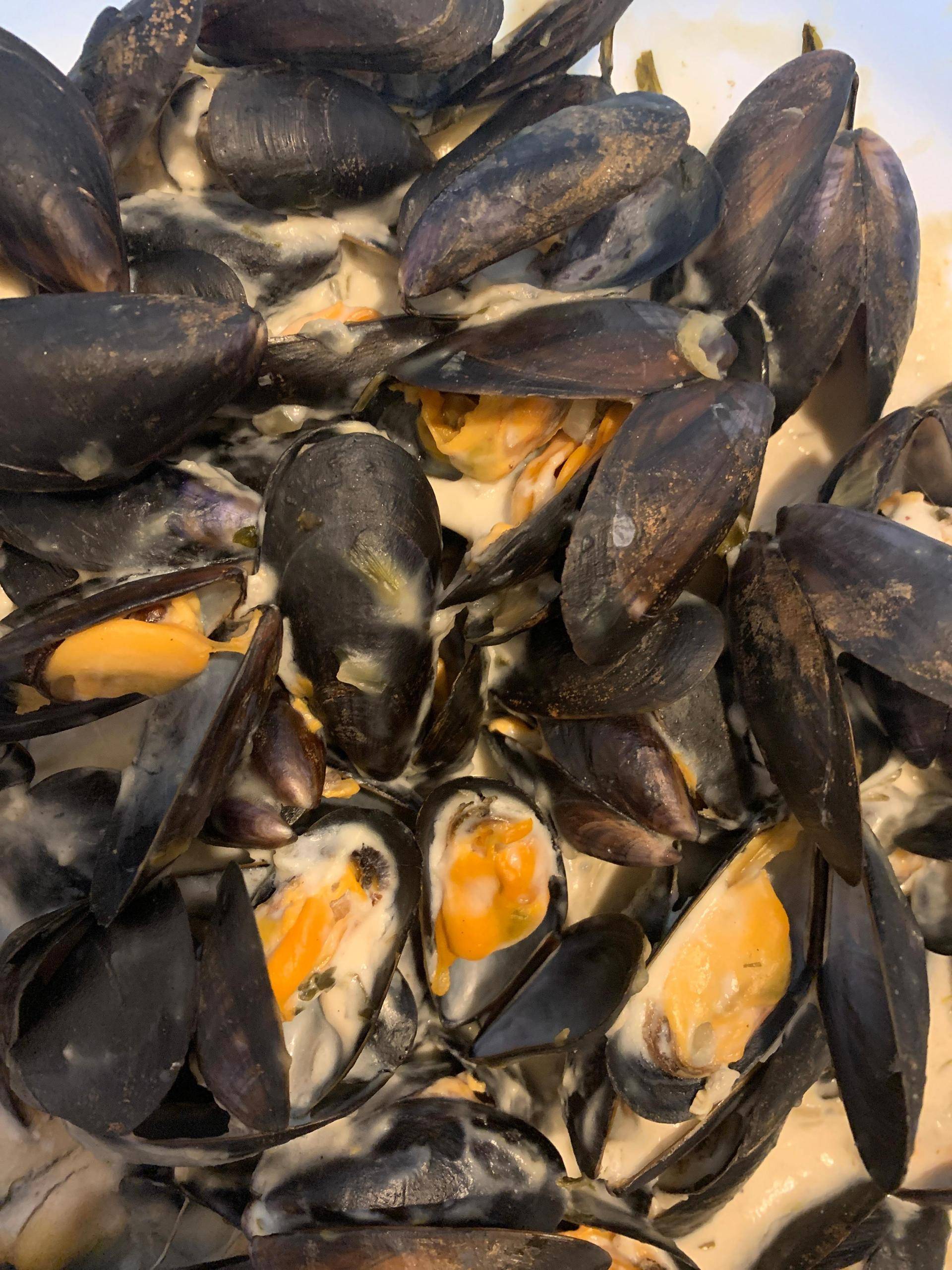 Moules a la crème et vin blanc - Recepten Cookeo | Moulinex