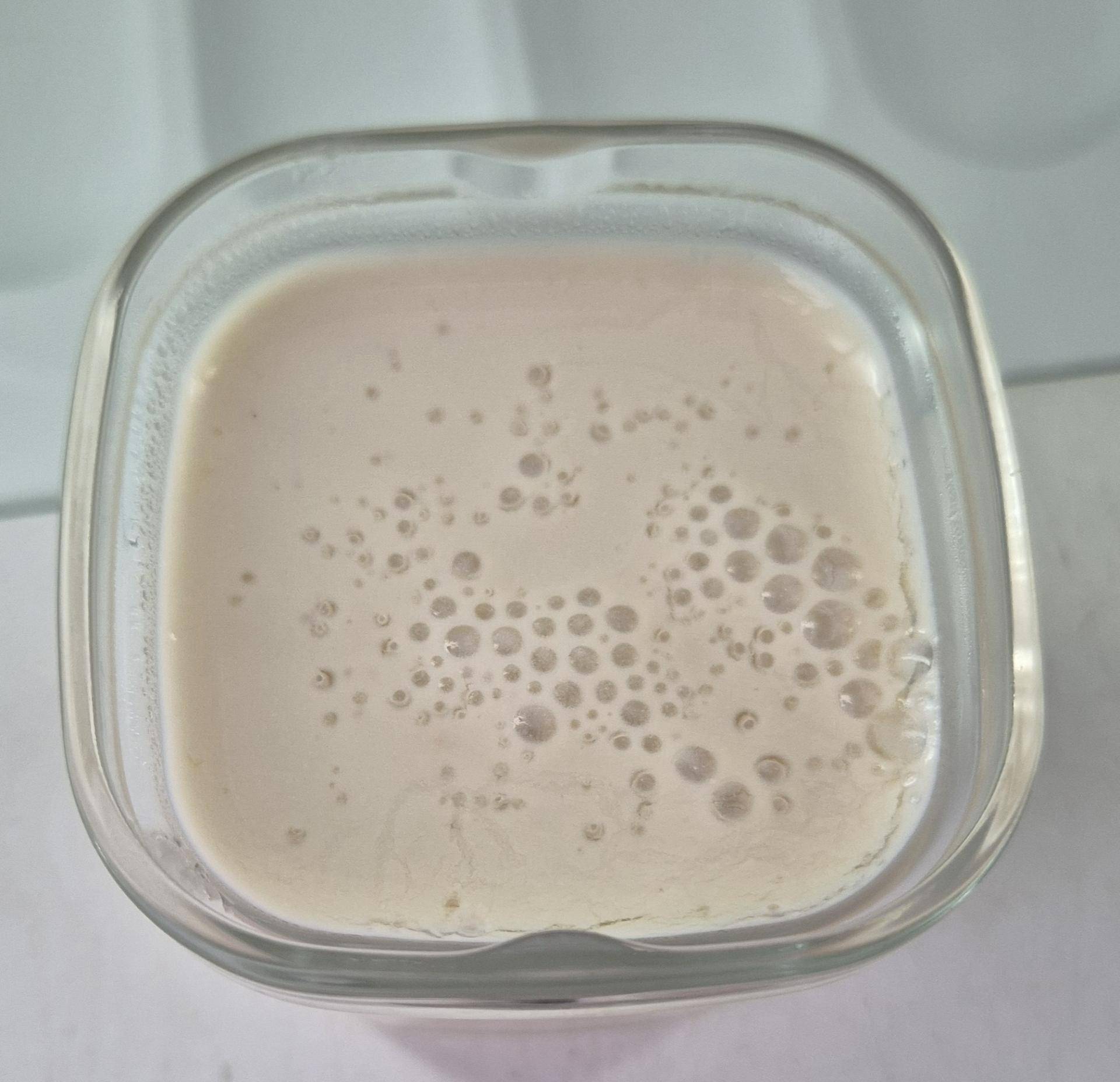 Yaourt végétal nature - Recette Companion Connect XL | Moulinex