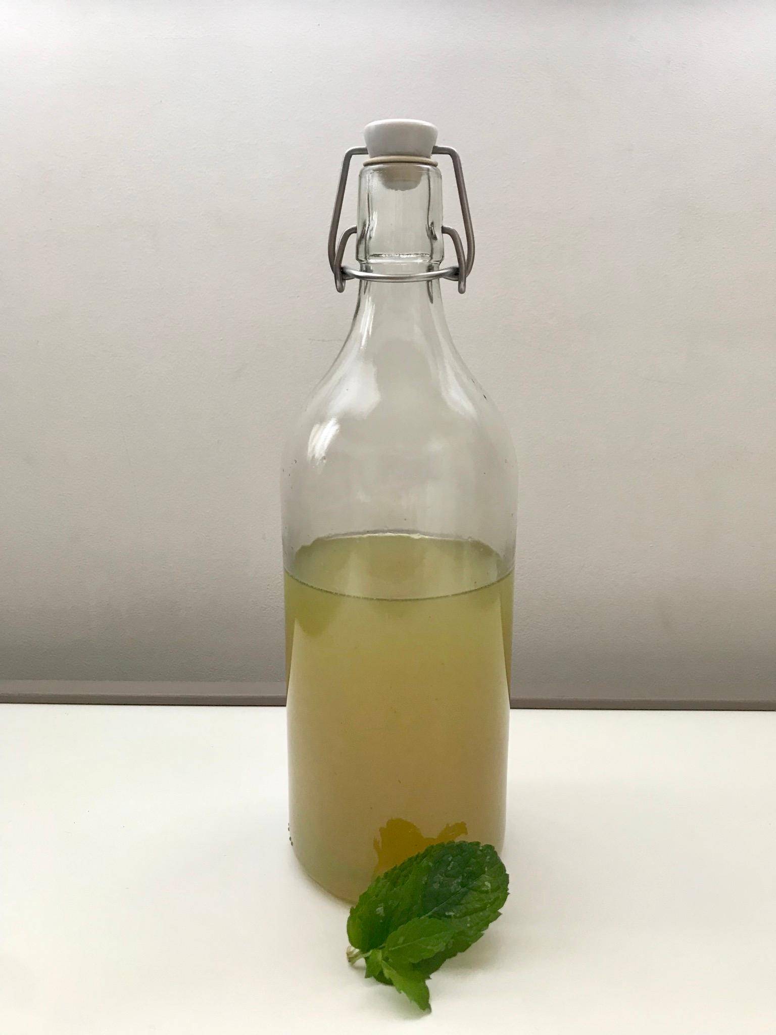 Sirop de menthe fraîche - Recette Cookeo | Moulinex