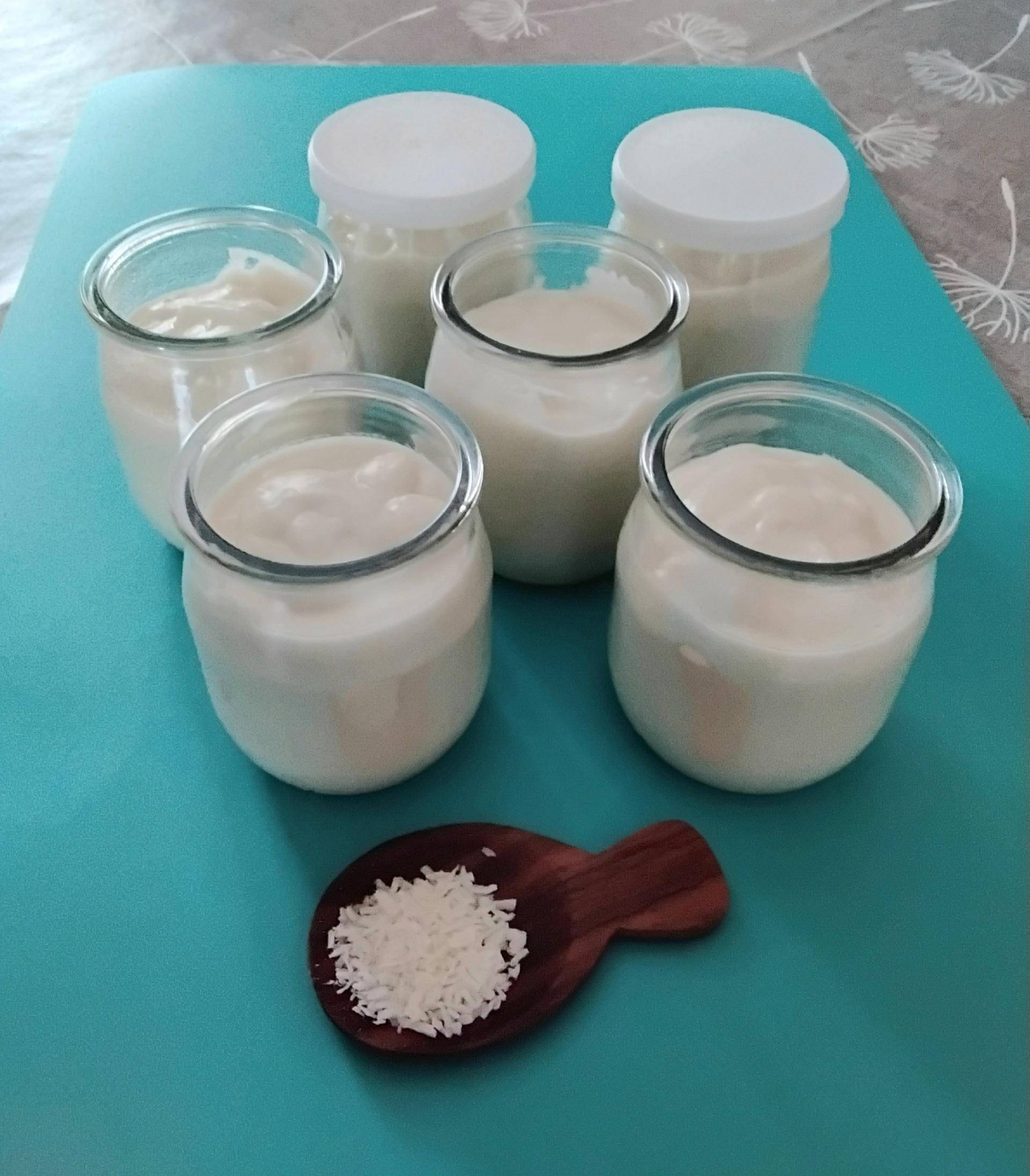 Crème dessert à la noix de coco - Recepten Companion Connect XL | Moulinex