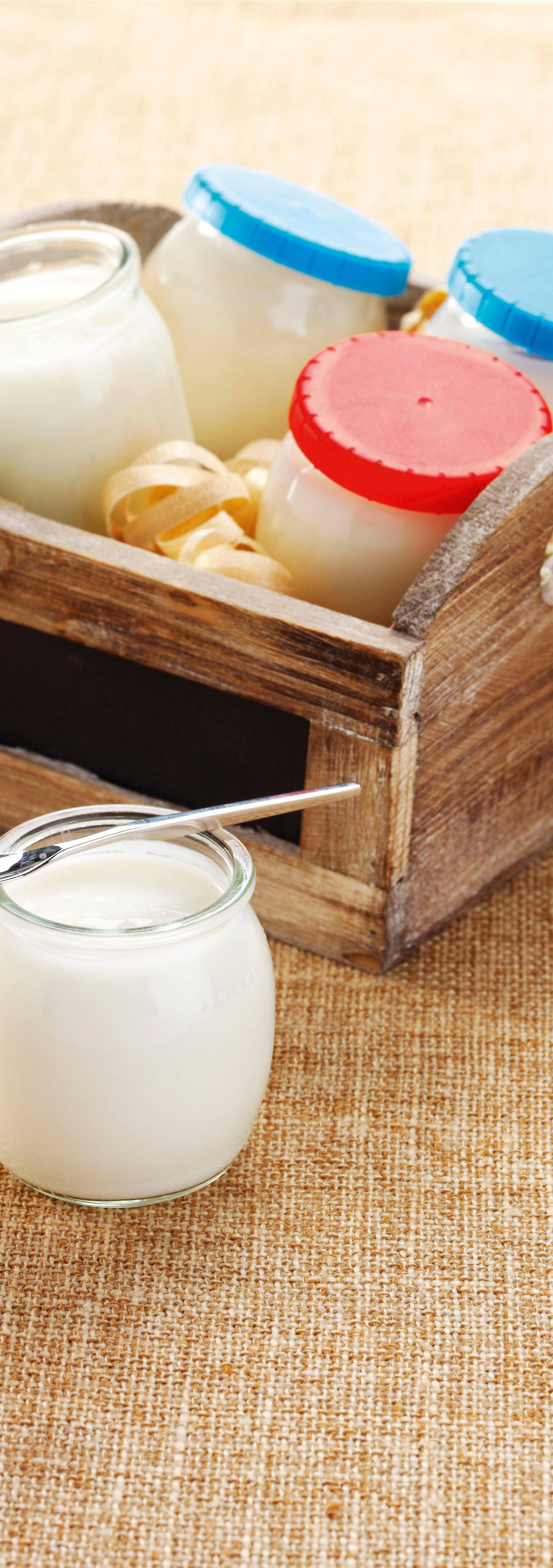Yaourt maison - Recette Companion Connect | Moulinex