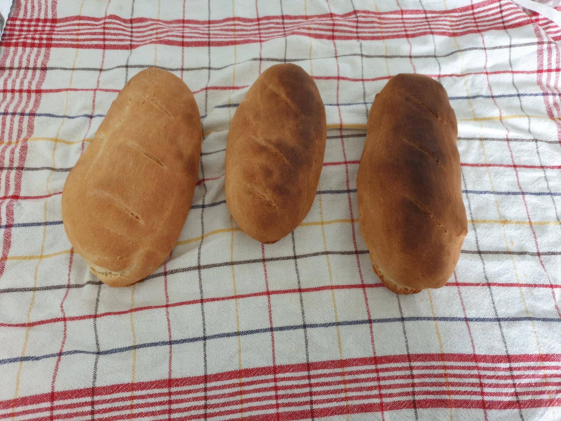 Petits pains - Recepten Companion Connect XL | Moulinex