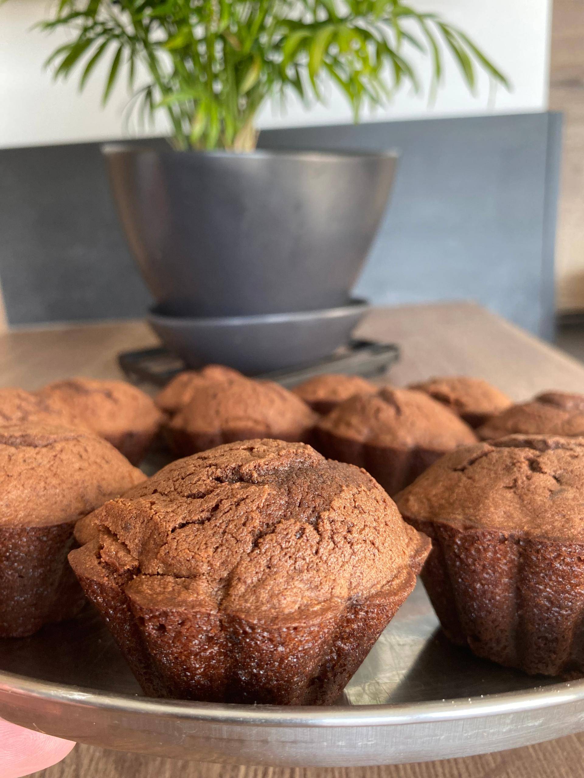 Muffins chocolat Max - Recepten Companion XL | Moulinex