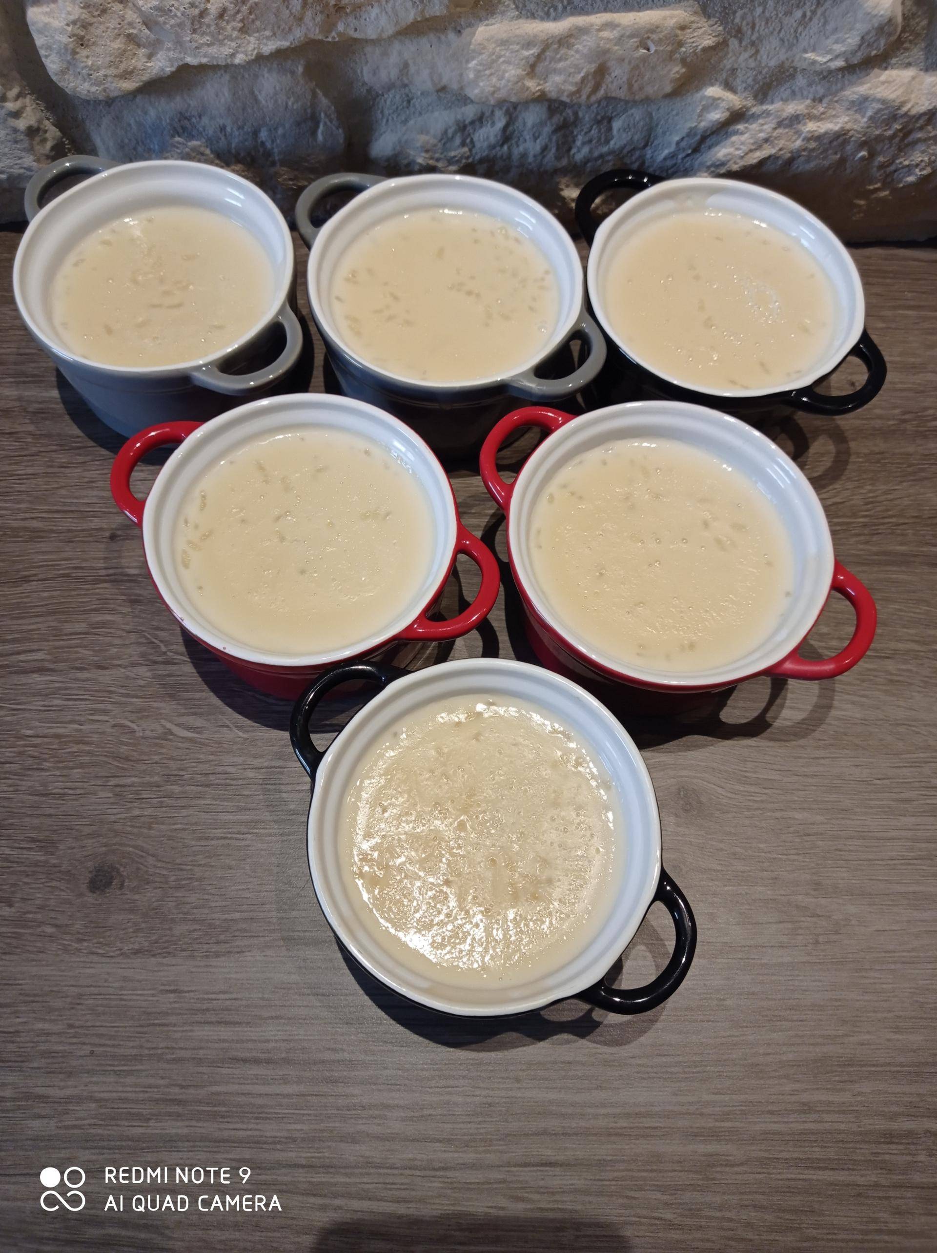 Riz au lait avec lait concentré - Recepten Companion Connect XL | Moulinex
