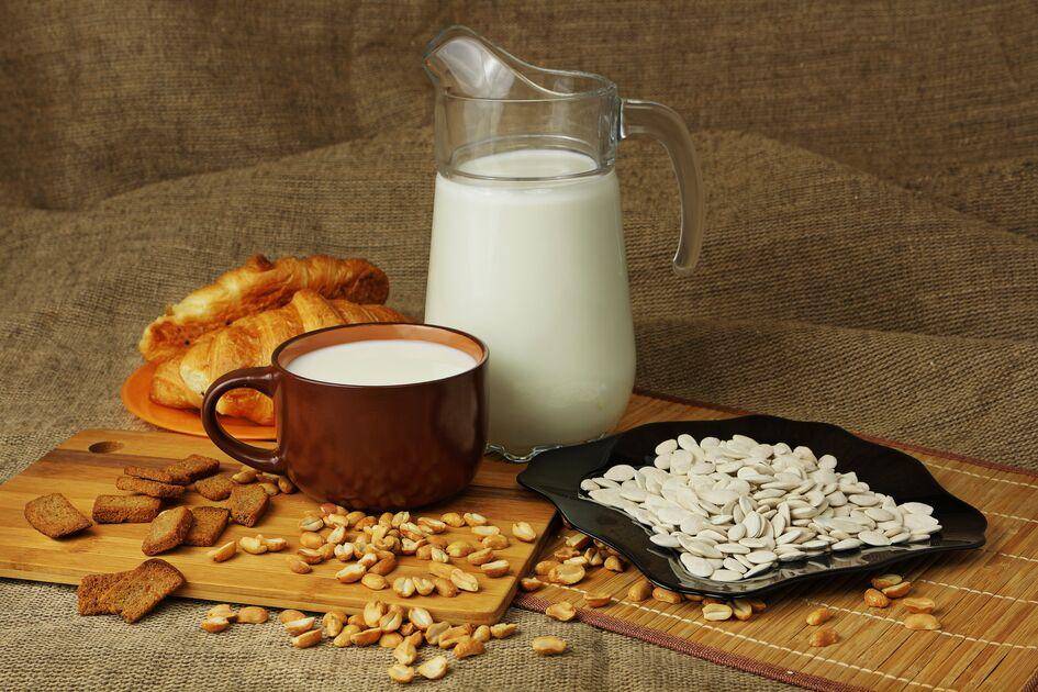 Lait de graines de tournesol - Recette Perfectmix + | Moulinex