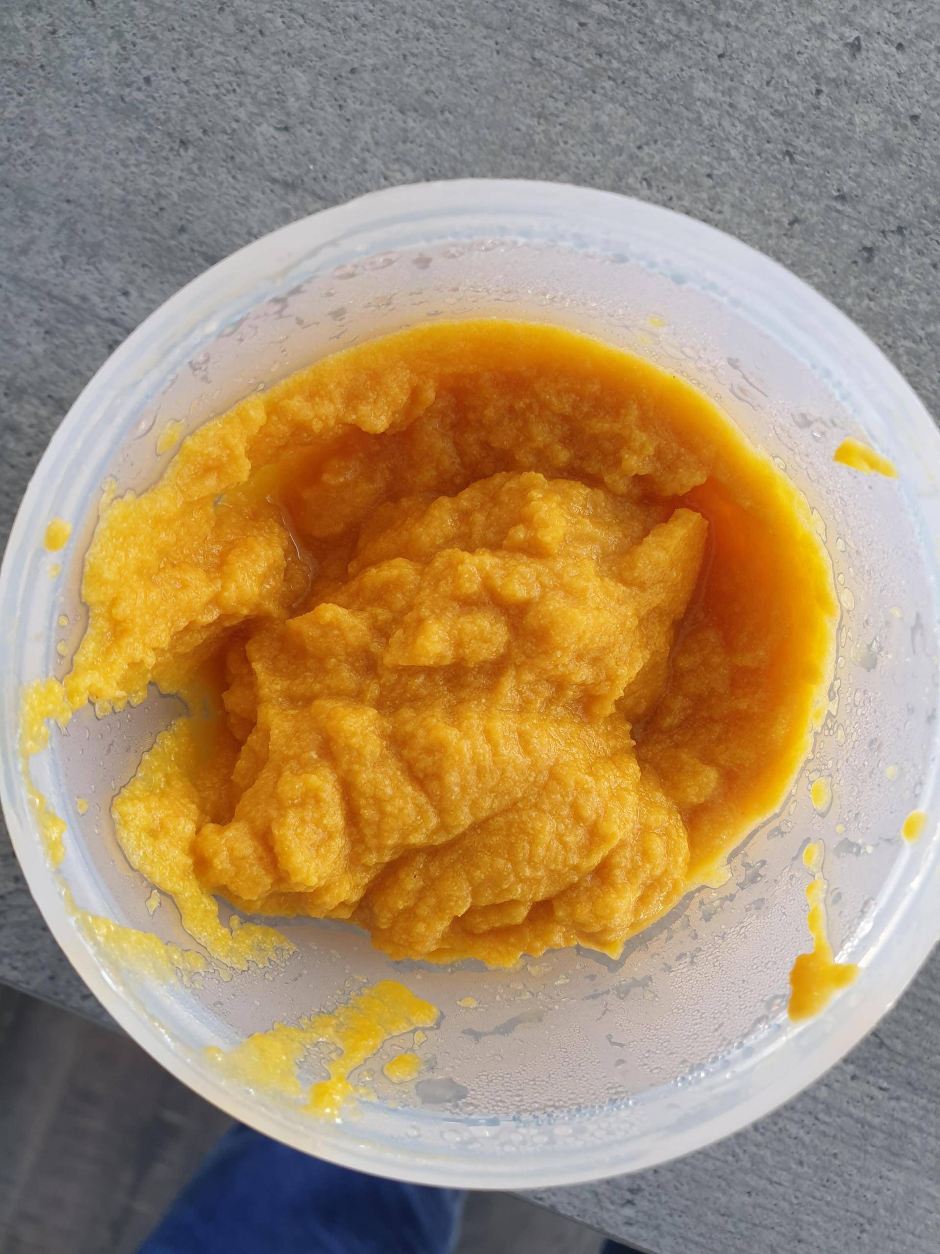 Purée carotte dinde - Recette Companion XL | Moulinex