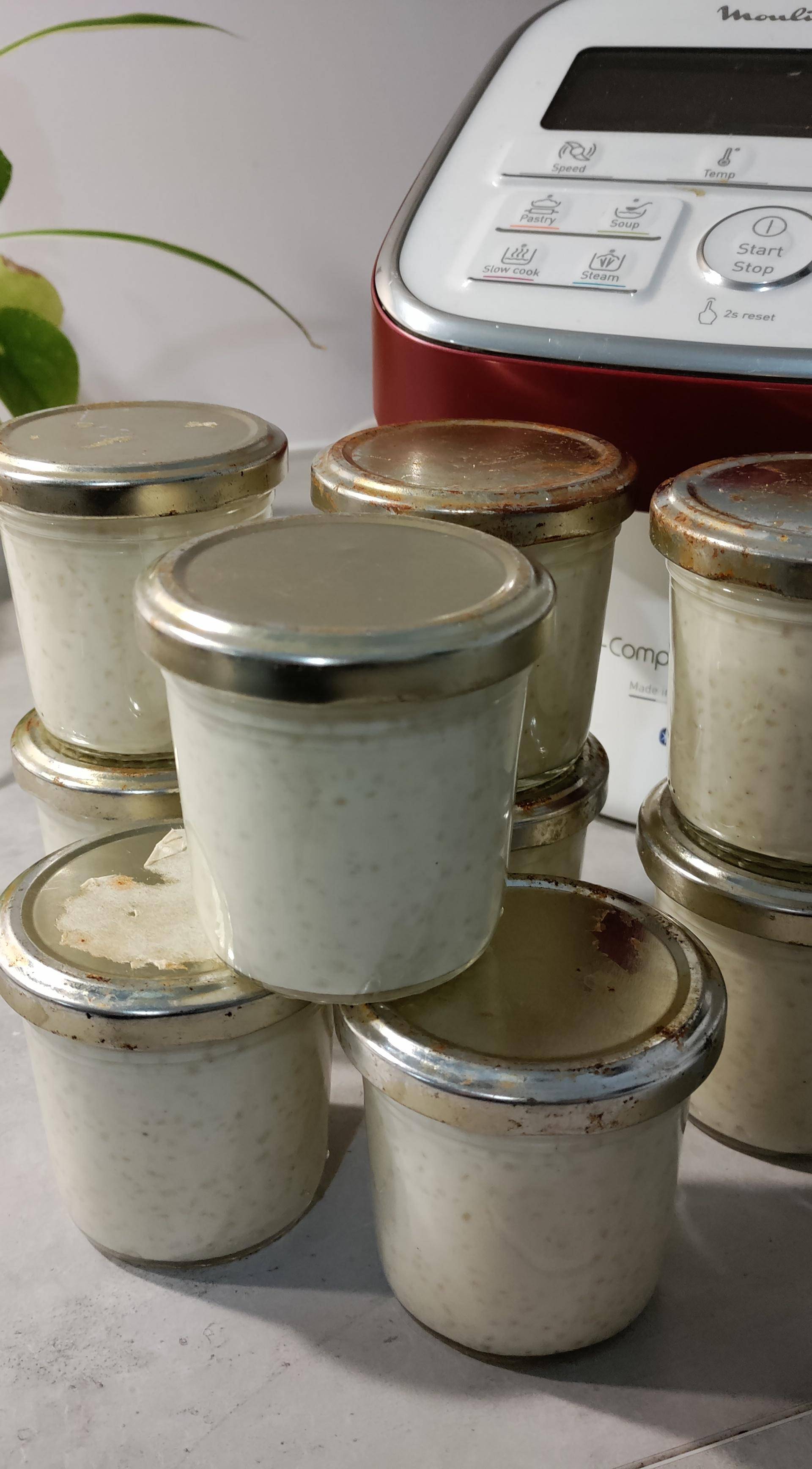 Tapioca au lait - Recette Companion Connect XL | Moulinex
