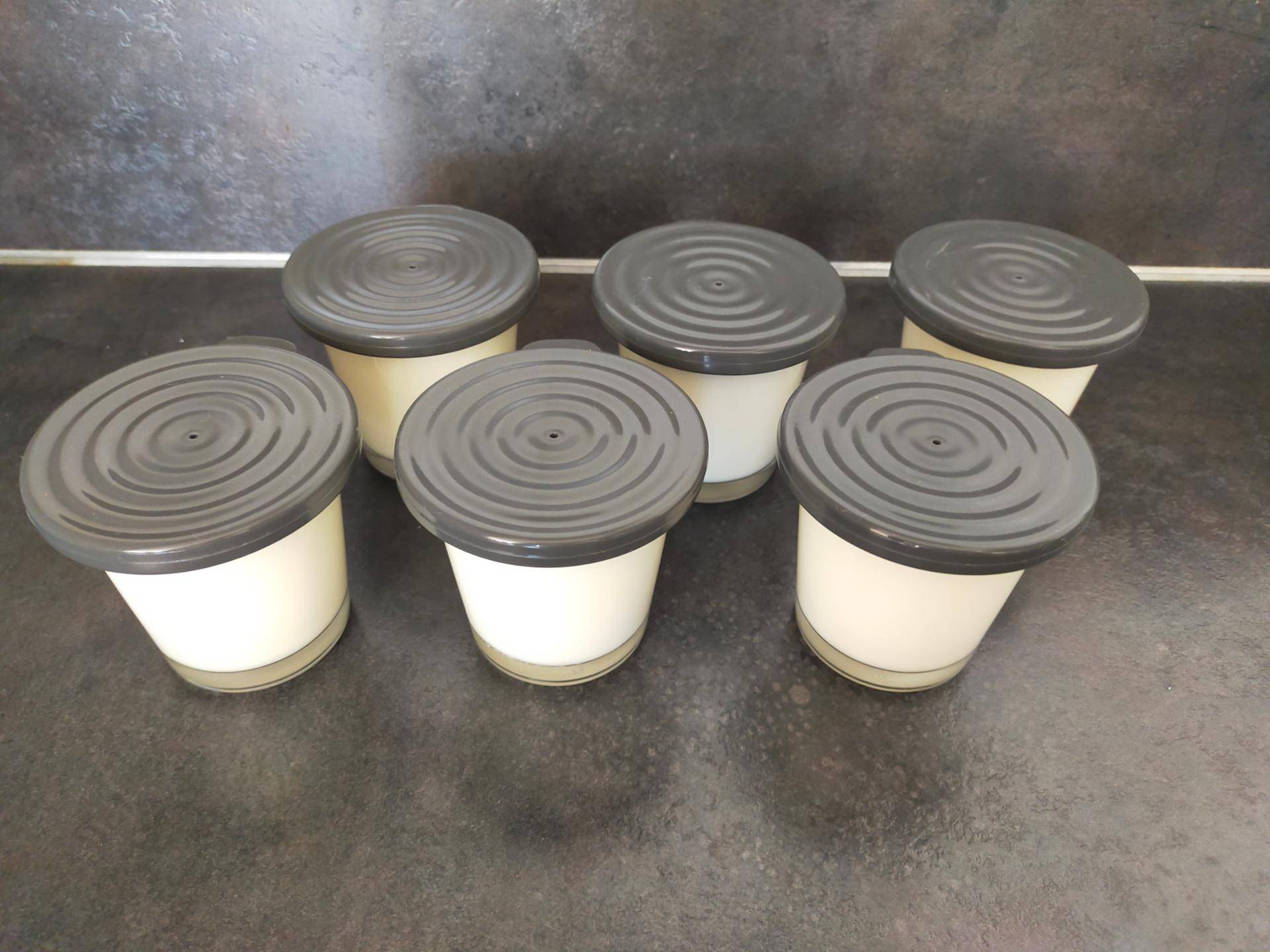 Pannacotta au citron - Recepten Cookeo | Moulinex