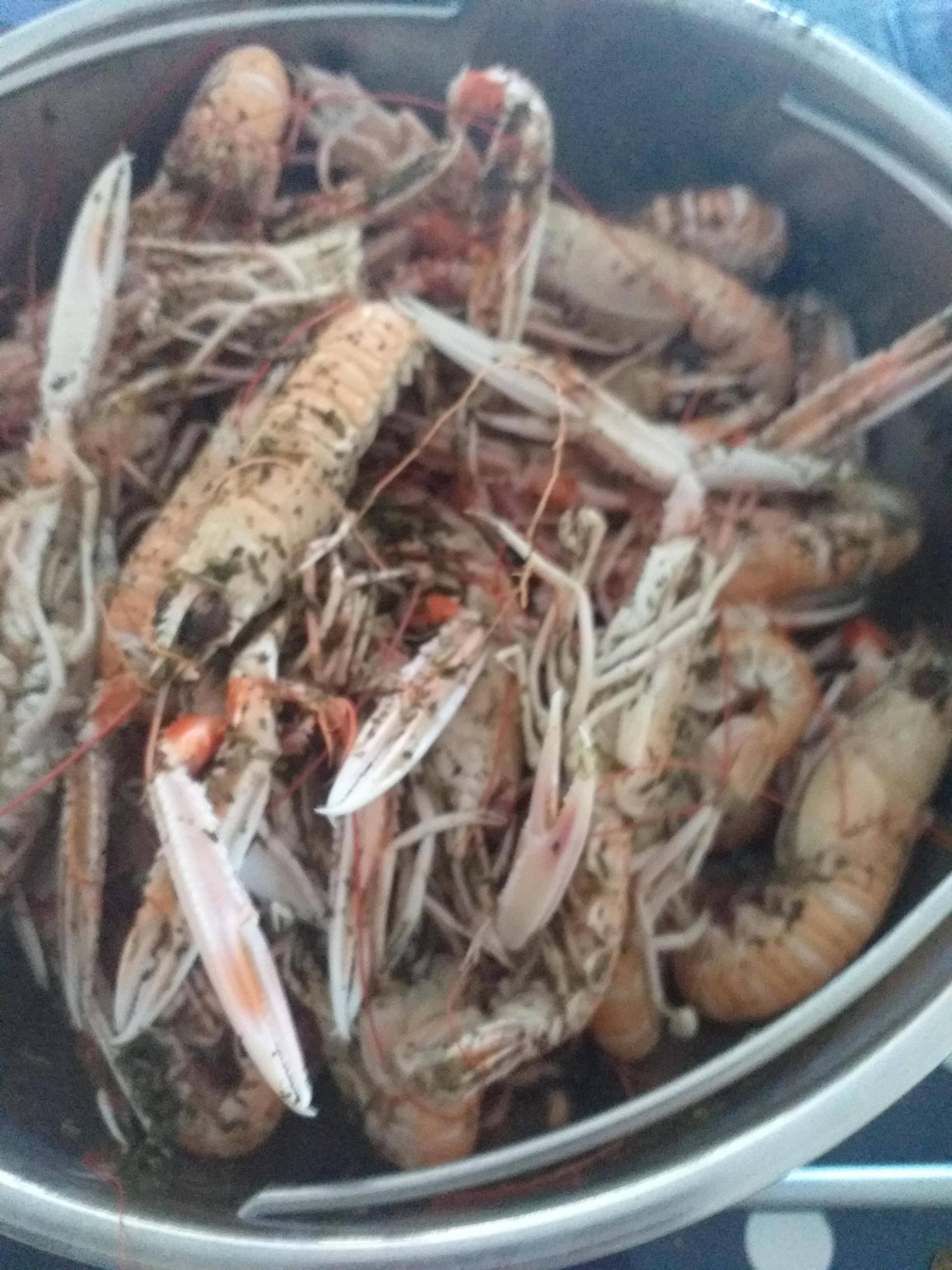 Langoustine - Recepten Cookeo | Moulinex