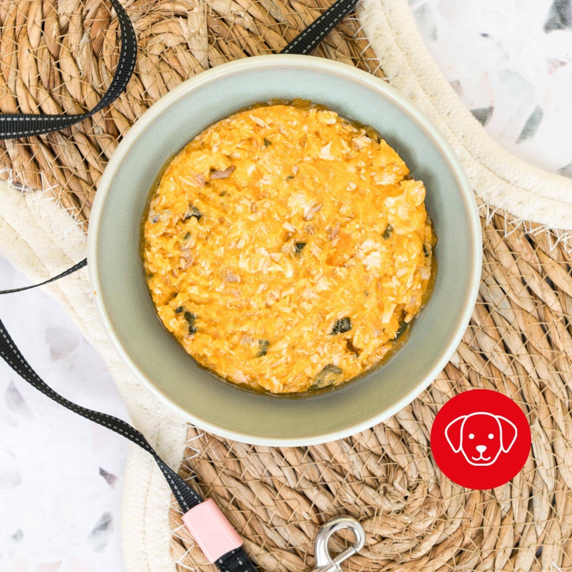 Pâtée spécial poils doux saumon-patate douce pour Chien 🐾 - Recette Cookeo 9in1 | Moulinex