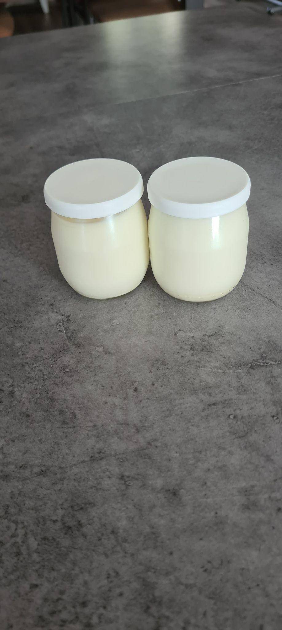 Yaourt à La Vanille avec le Cookéo - Recette Companion Connect XL | Moulinex