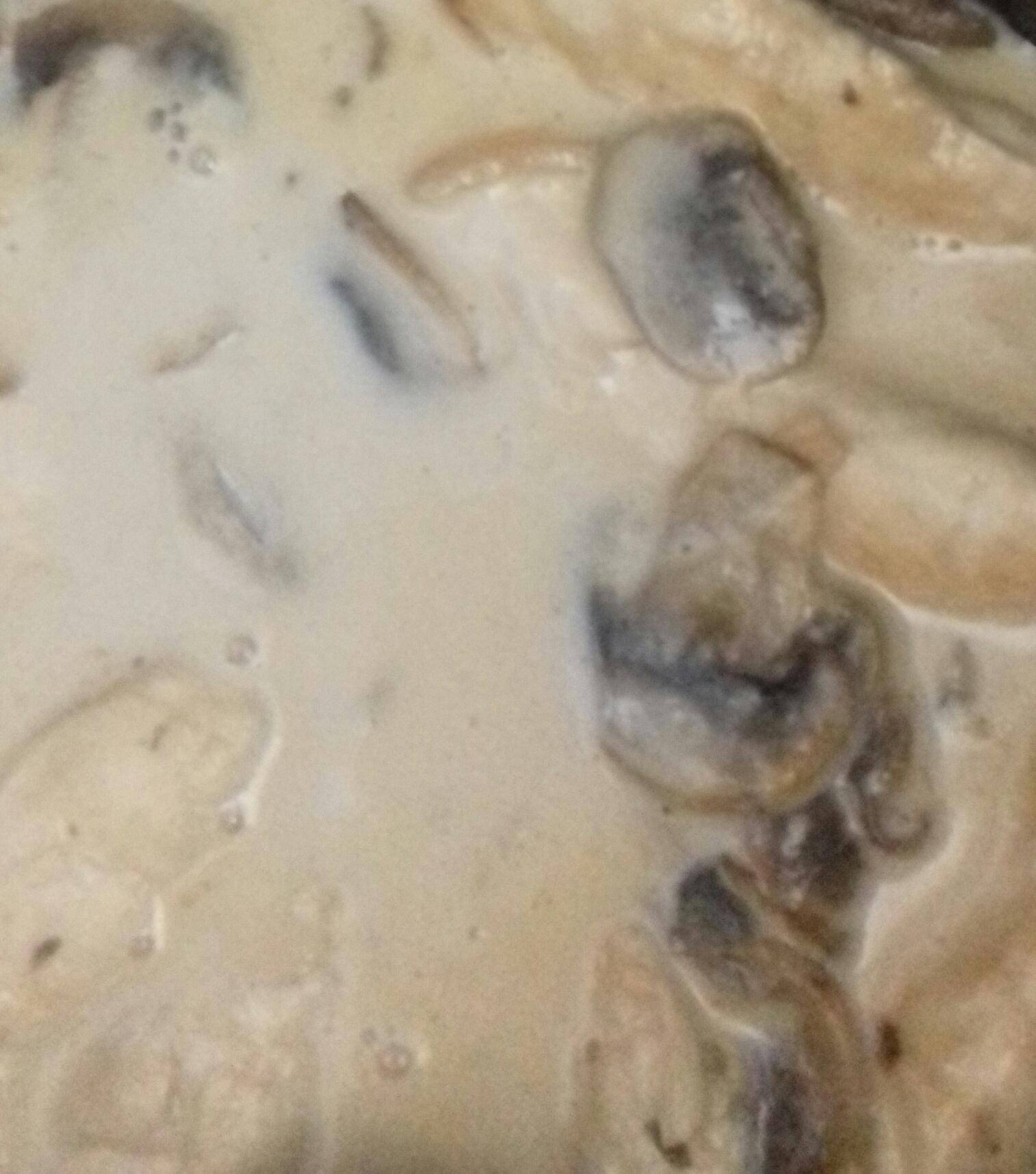 Aiguillettes de poulet au maroilles champignon - Recepten Cookeo | Moulinex