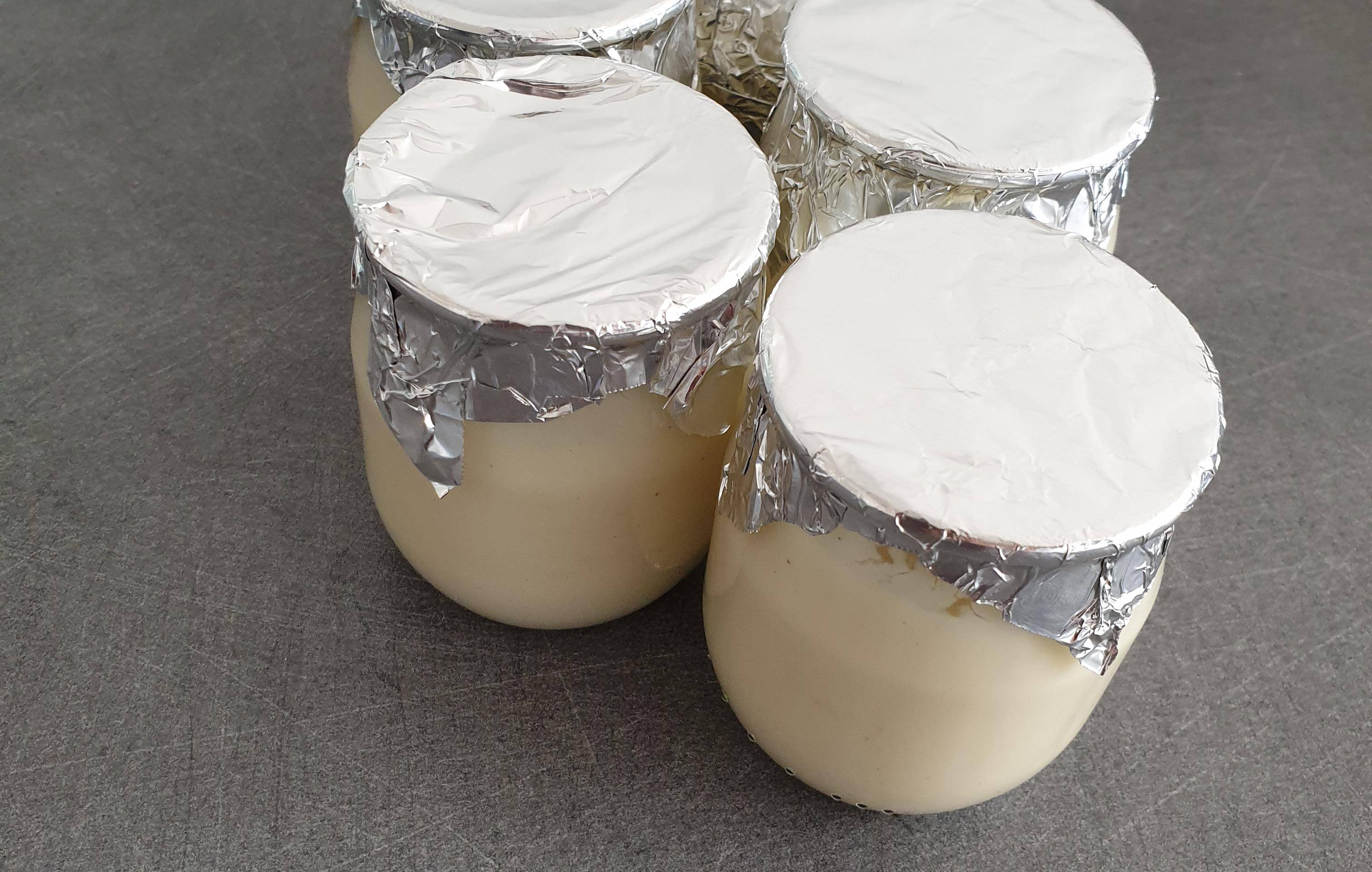 Crème dessert à la vanille - Recette Companion XL | Moulinex