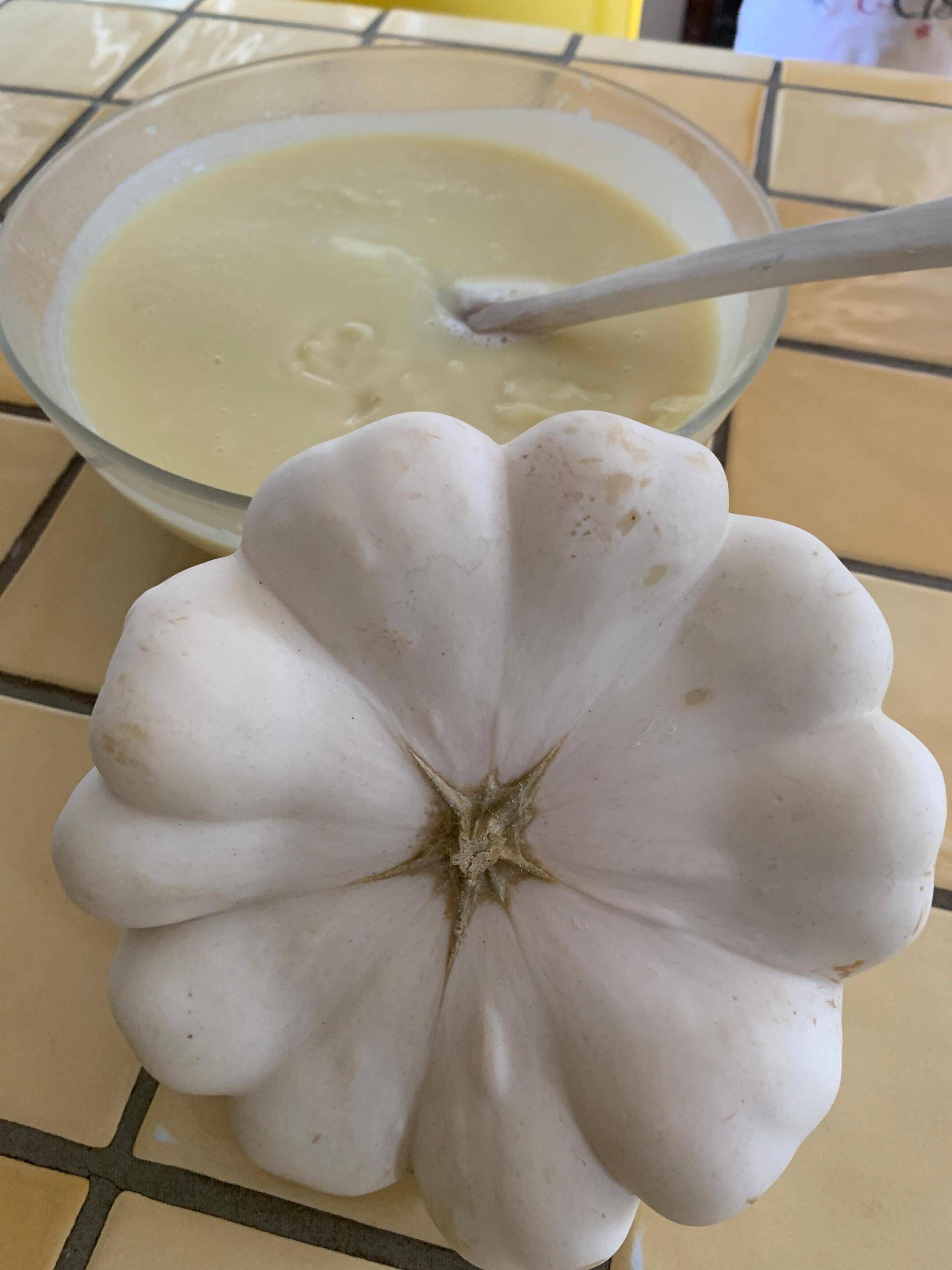 Velouté de Patisson - Recepten Companion XL | Moulinex