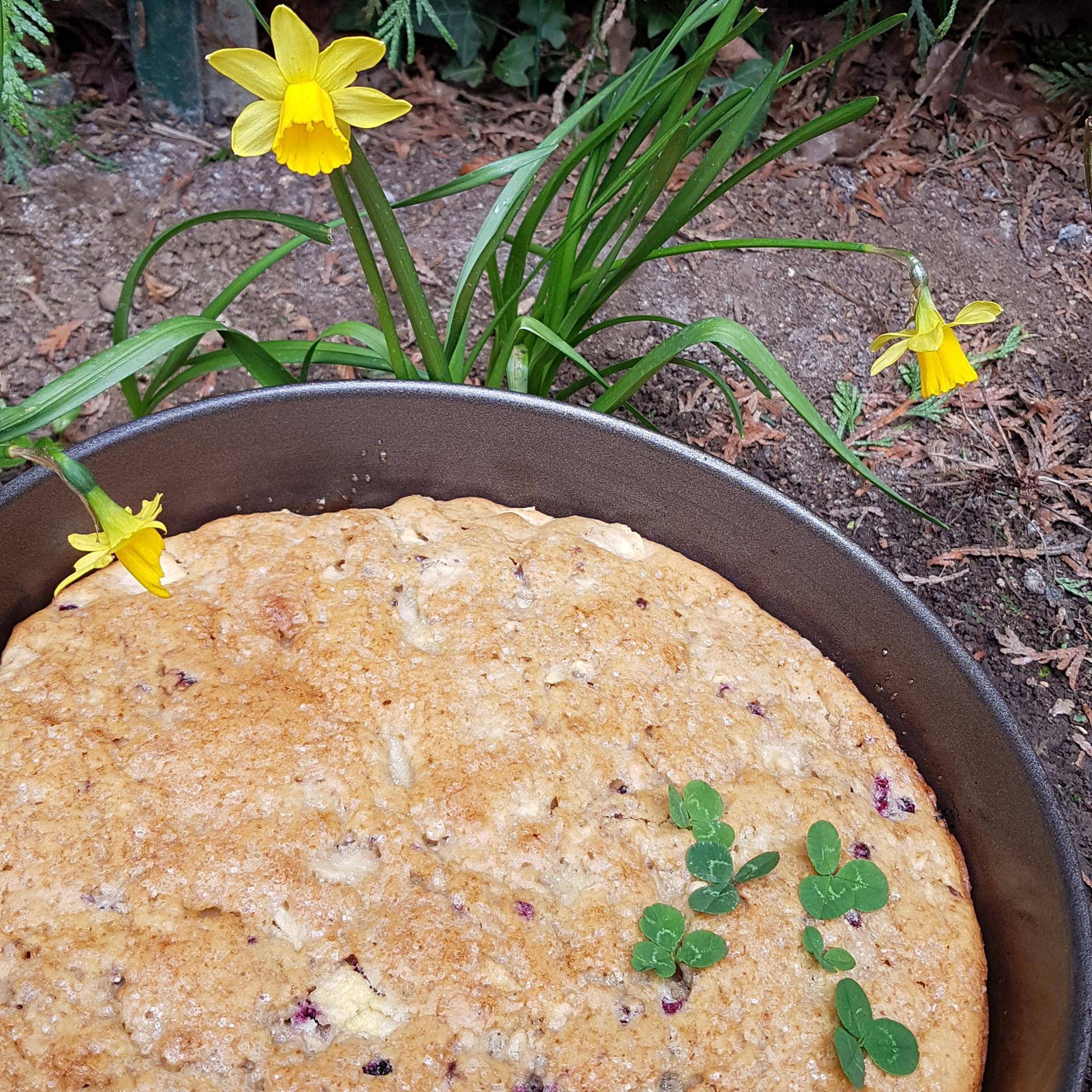 Irish Cake pomme-mûres - Recepten Companion Connect XL | Moulinex