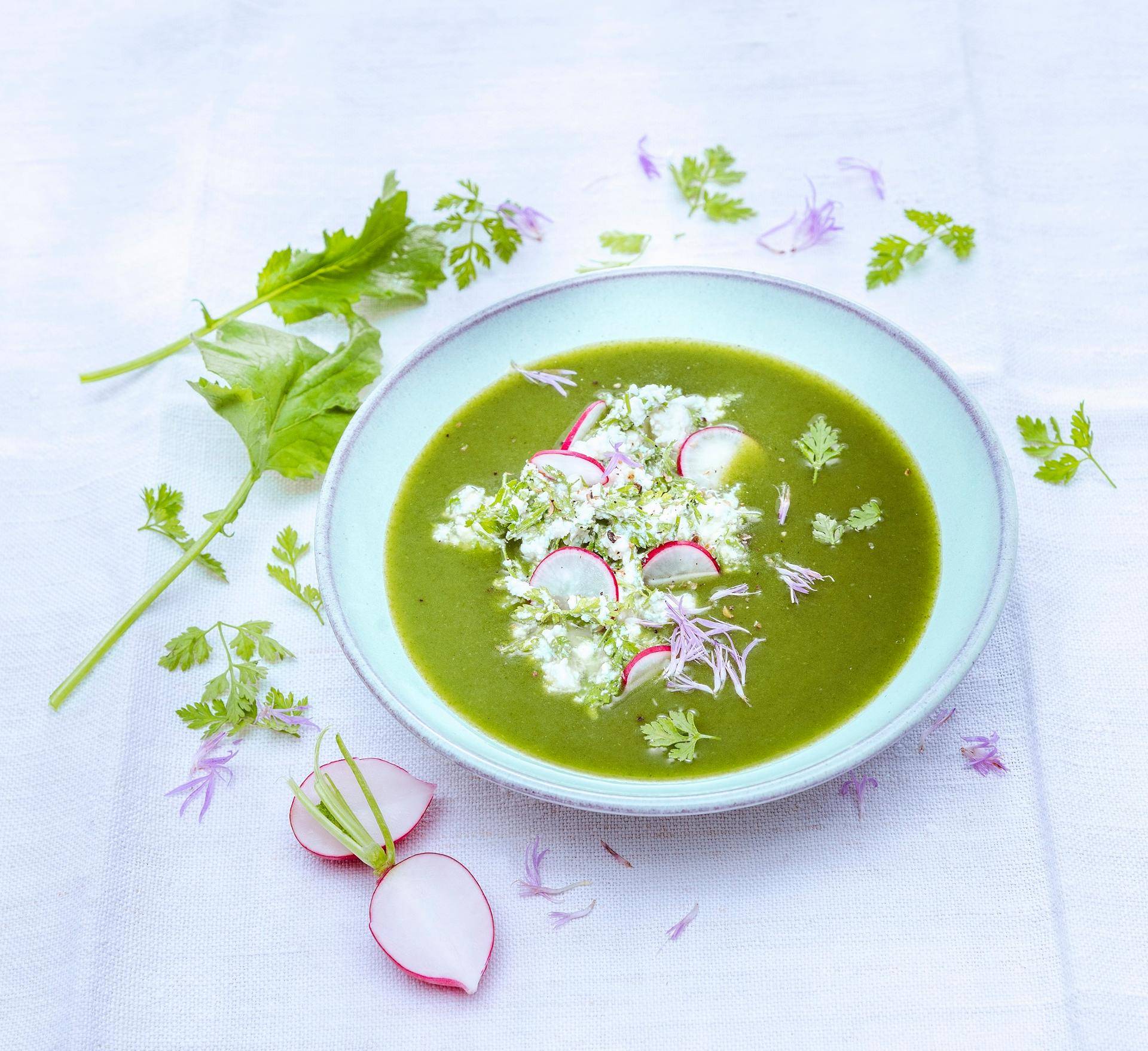Soupe froide de fanes de radis à la brousse - Recette Companion | Moulinex