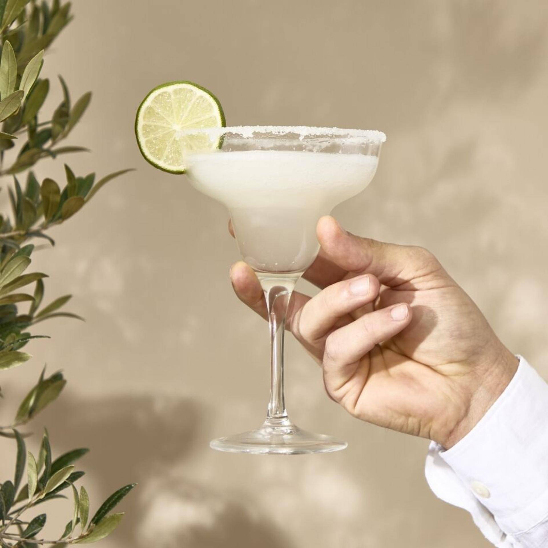 Bevroren Margarita - Recepten Freezi | Moulinex