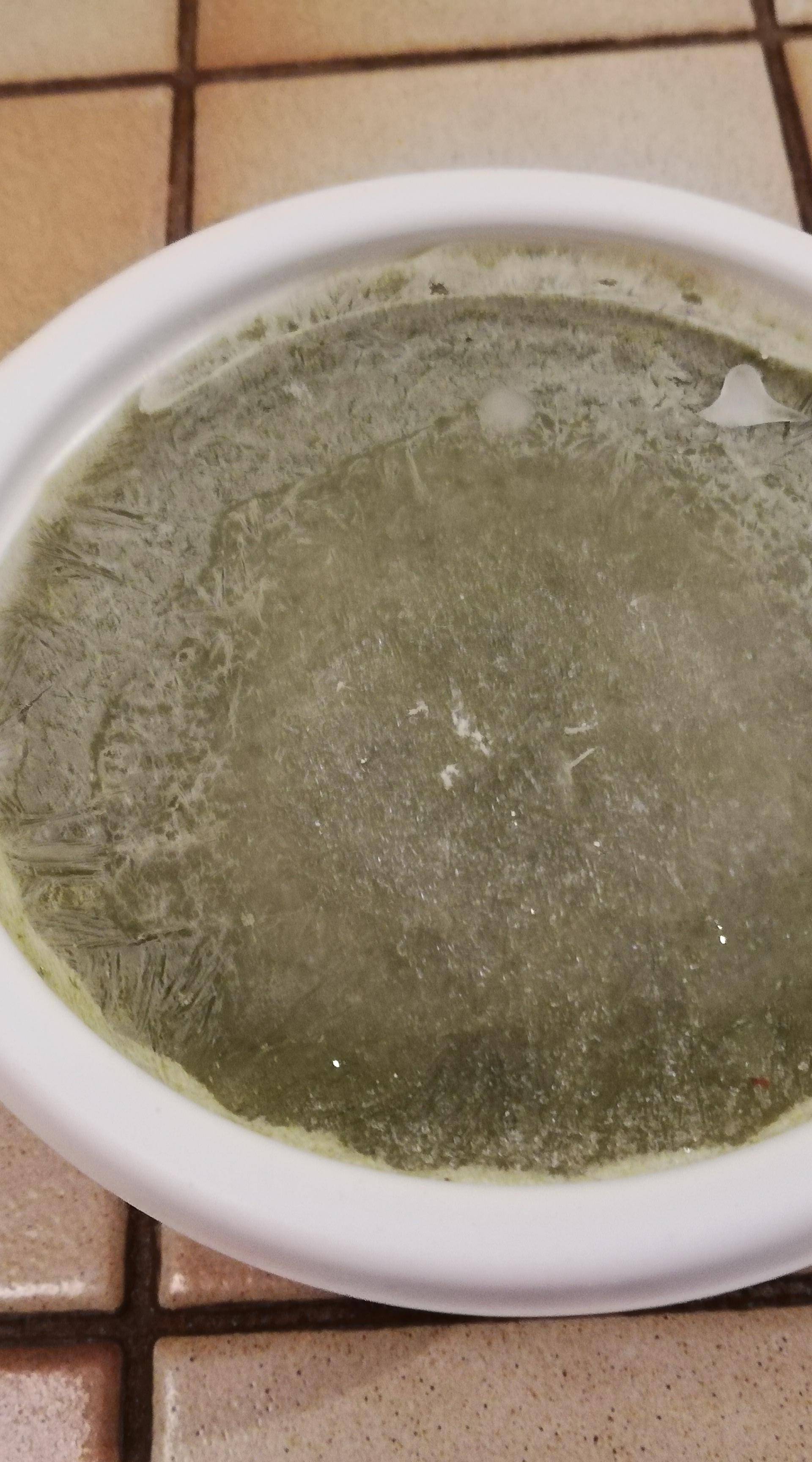 Velouté de cresson - Recette Companion Connect XL | Moulinex