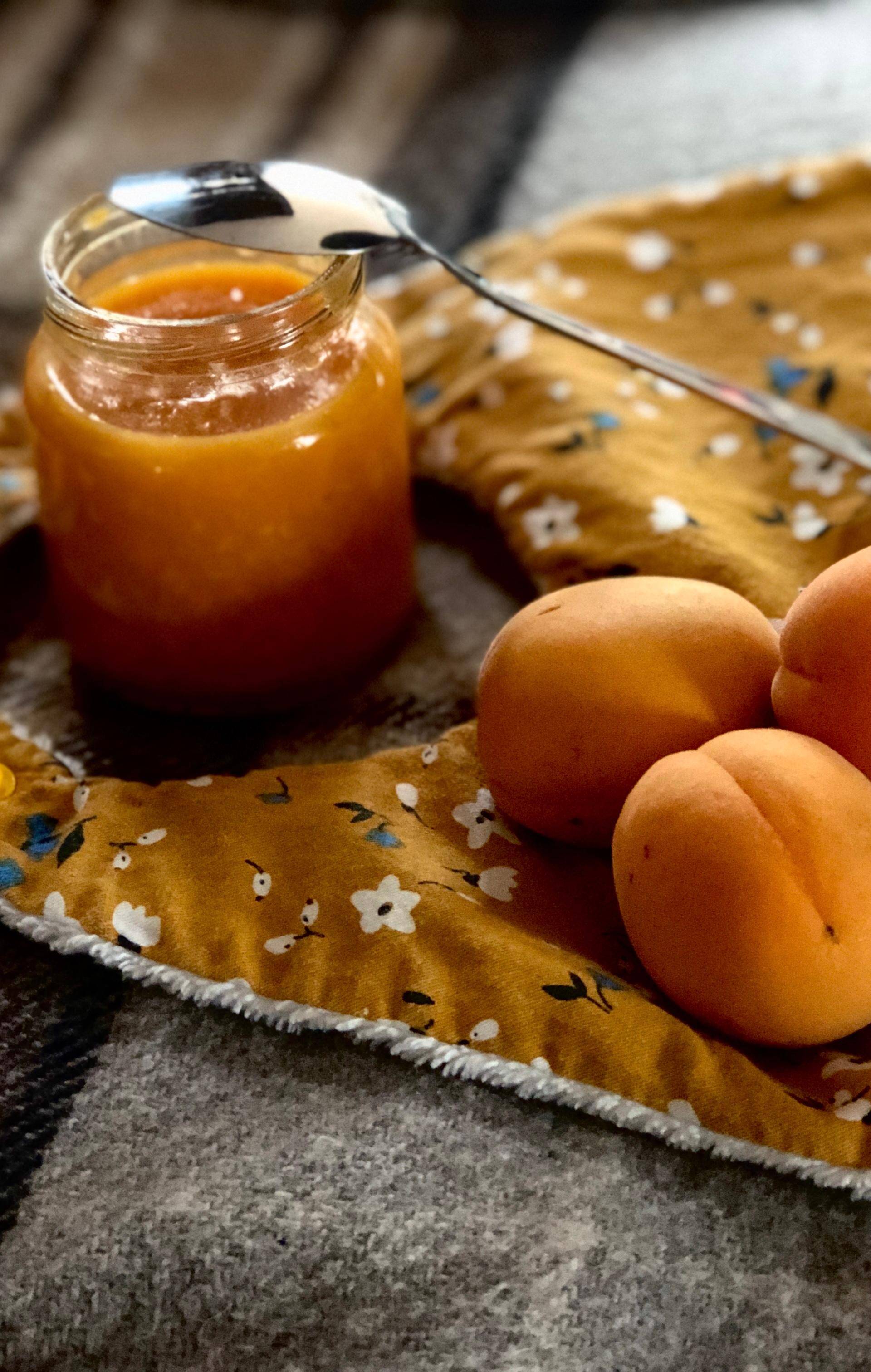 Compote Abricots Bébé - Recette Companion Connect XL | Moulinex